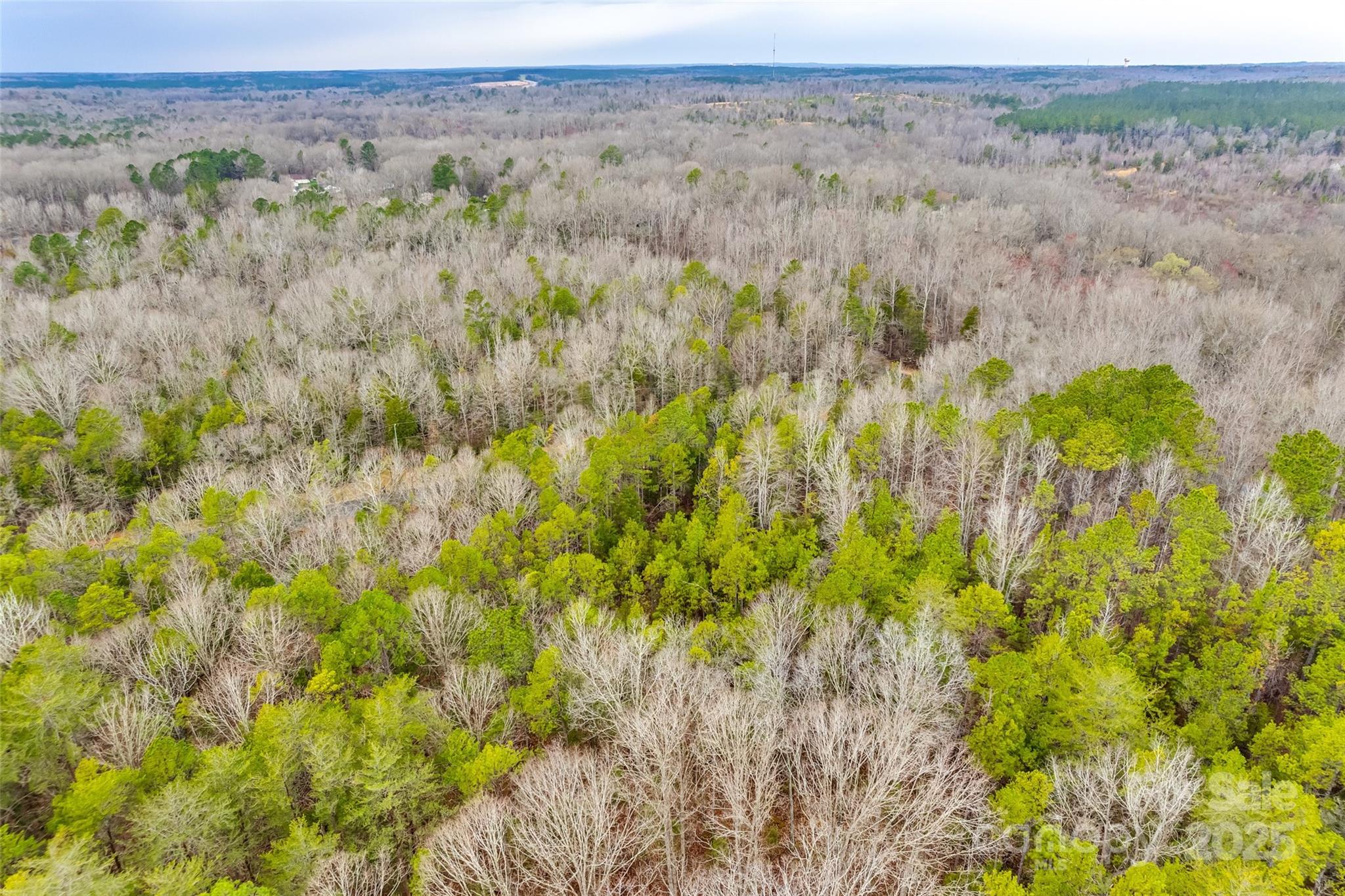 Greyfox Estates - Land