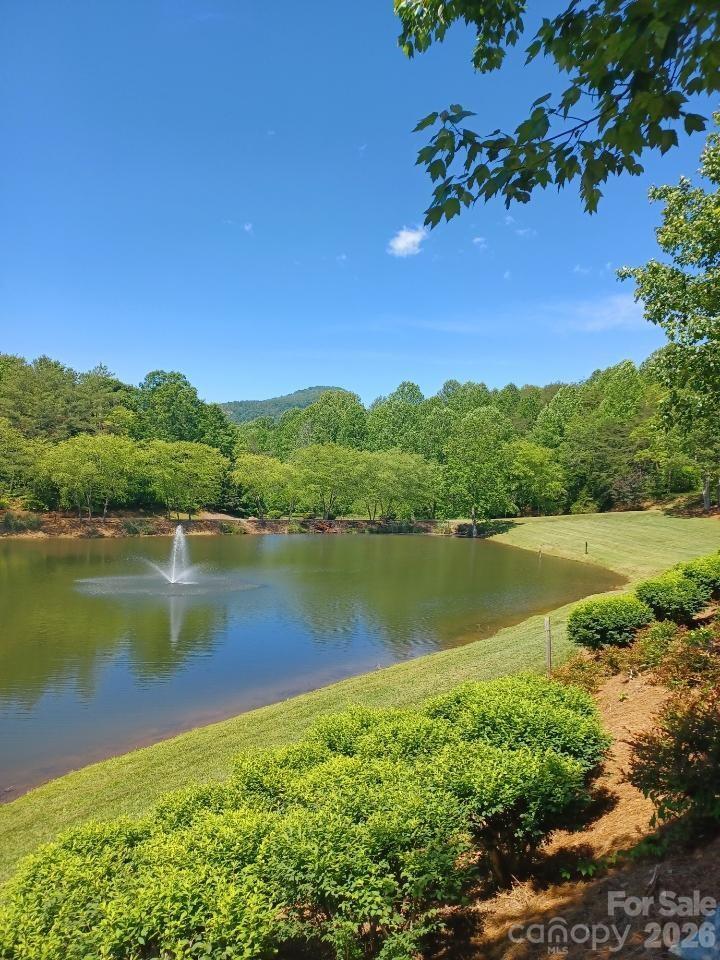 LAKEFRONT RV lot for sale!  
106 Cornell Circle, Lake Lure, NC 28746
Apple Valley Farm (AVF) Motorcoach Resort is a small enclave of privately owned Class A motorcoach lots nestled in the mountains of Lake Lure, NC.  This gorgeous lot is a pull in lot providing beautiful views of the lake and nearby Rumbling Bald mountain right from your coach!  The lot has full hook up; 50 AMP electric, water, sewer and free resort WIFI.  It is tree lined providing desirable shade and privacy.  The community has paved roads and concrete pads.  Beyond the lake, enjoy the mountain views and mature landscaping within AVF.  The lot also includes sturdy year-round Polwood furniture, built in swinging bench for two and a brand new smokeless Solo fire pit.  Community amenities include a clubhouse with kitchen and washer/dryer, as well as the Victory Kitchen Restaurant located within the community.  AVF lot owners also have access to the association owned twenty-five foot pontoon boat with is moored