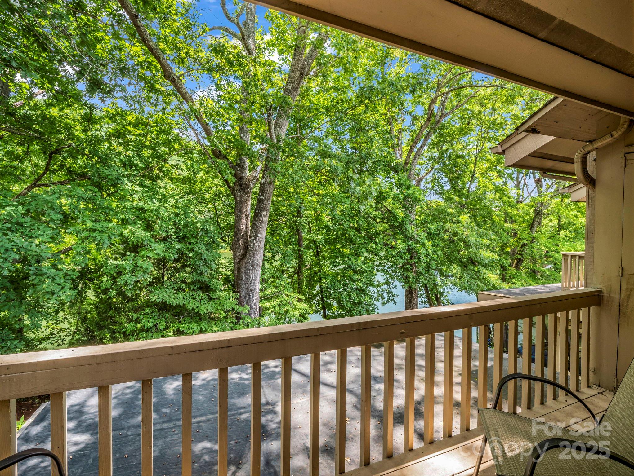 Rumbling Bald on Lake Lure - Residential