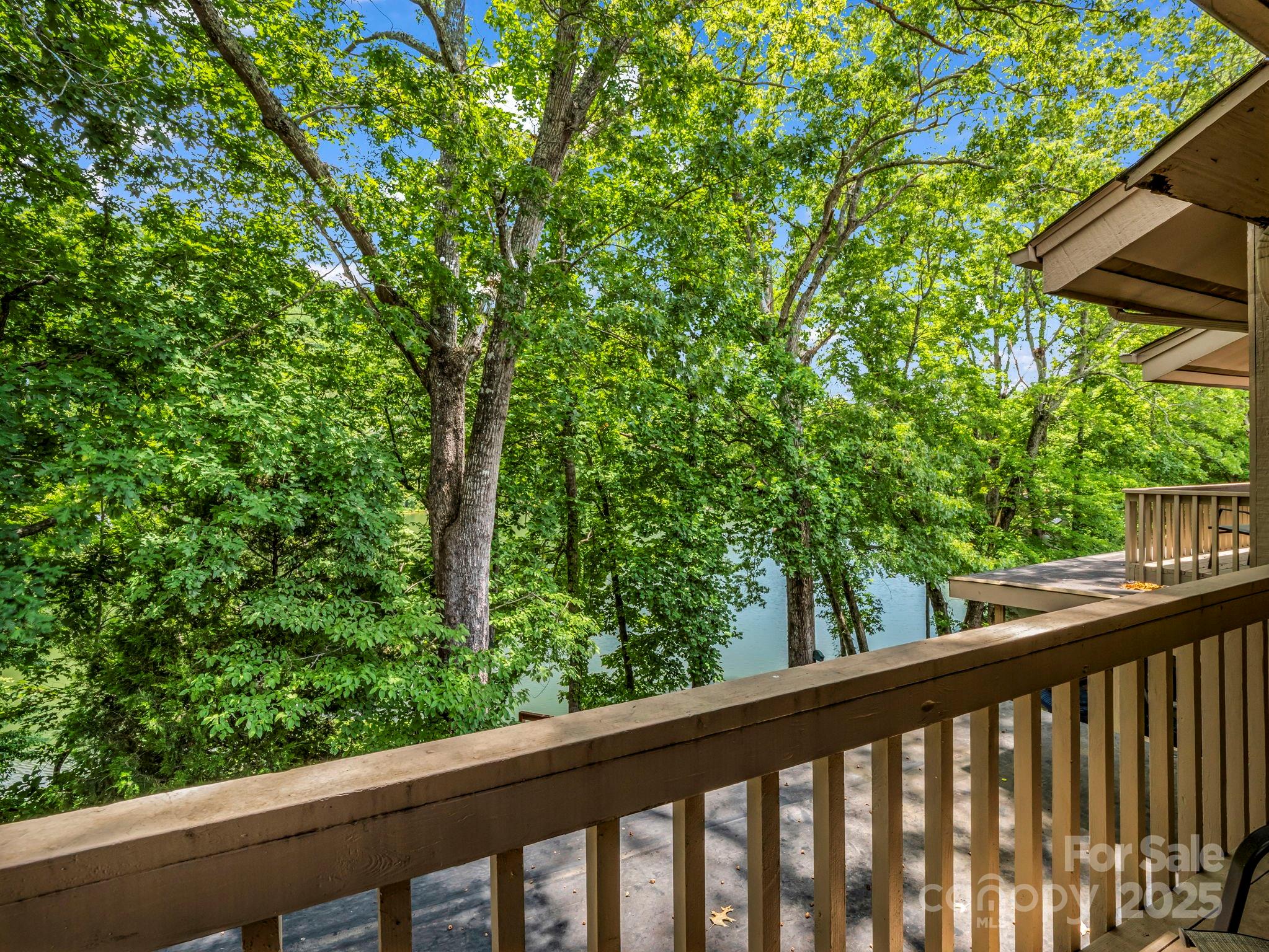 Rumbling Bald on Lake Lure - Residential