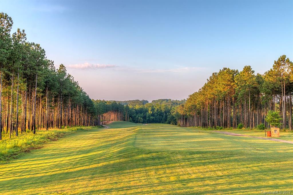 With 3,300 acres of water & 61 miles of shoreline Fishing Creek Lake, on the shores of which Edgewater is built, is the water sports, golf, & outdoor enthusiasts hidden secret.  Anglers & boaters will enjoy the uncrowded lake teaming with bass, crappie, & catfish while golfers appreciate the world-class greens. You'll share the community with abundant wildlife including deer, wild turkeys, & bald eagles.  Amenities include swimming, tennis, waterfront pavilion, & marina with boat storage.