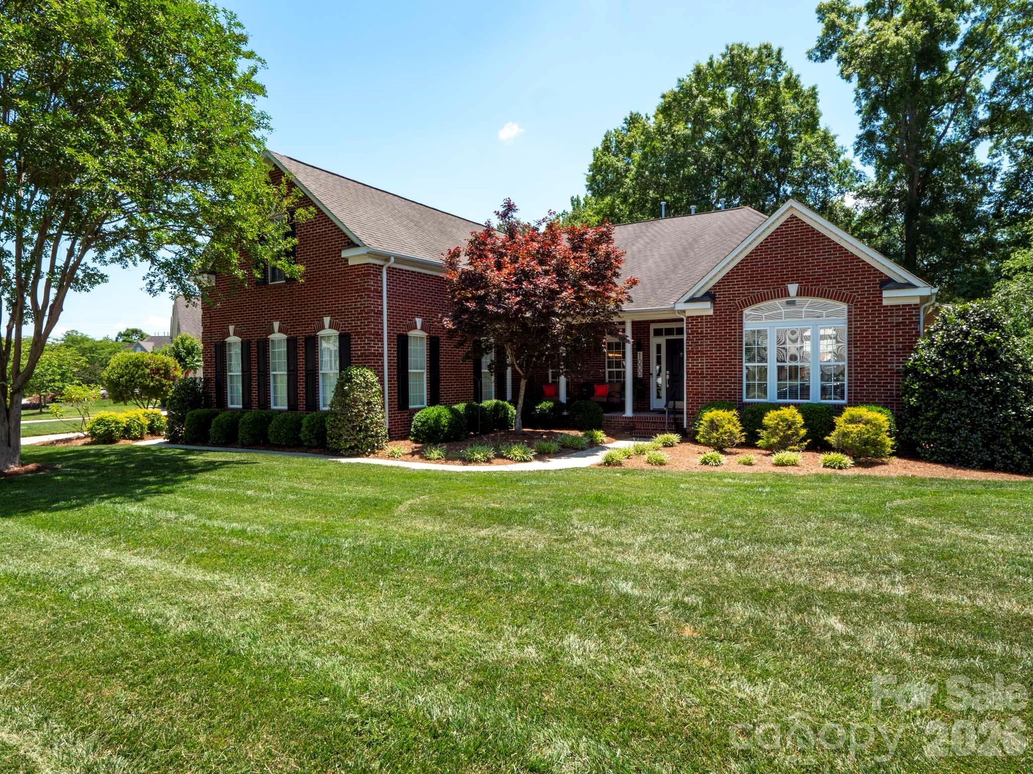 Chestnut - Residential