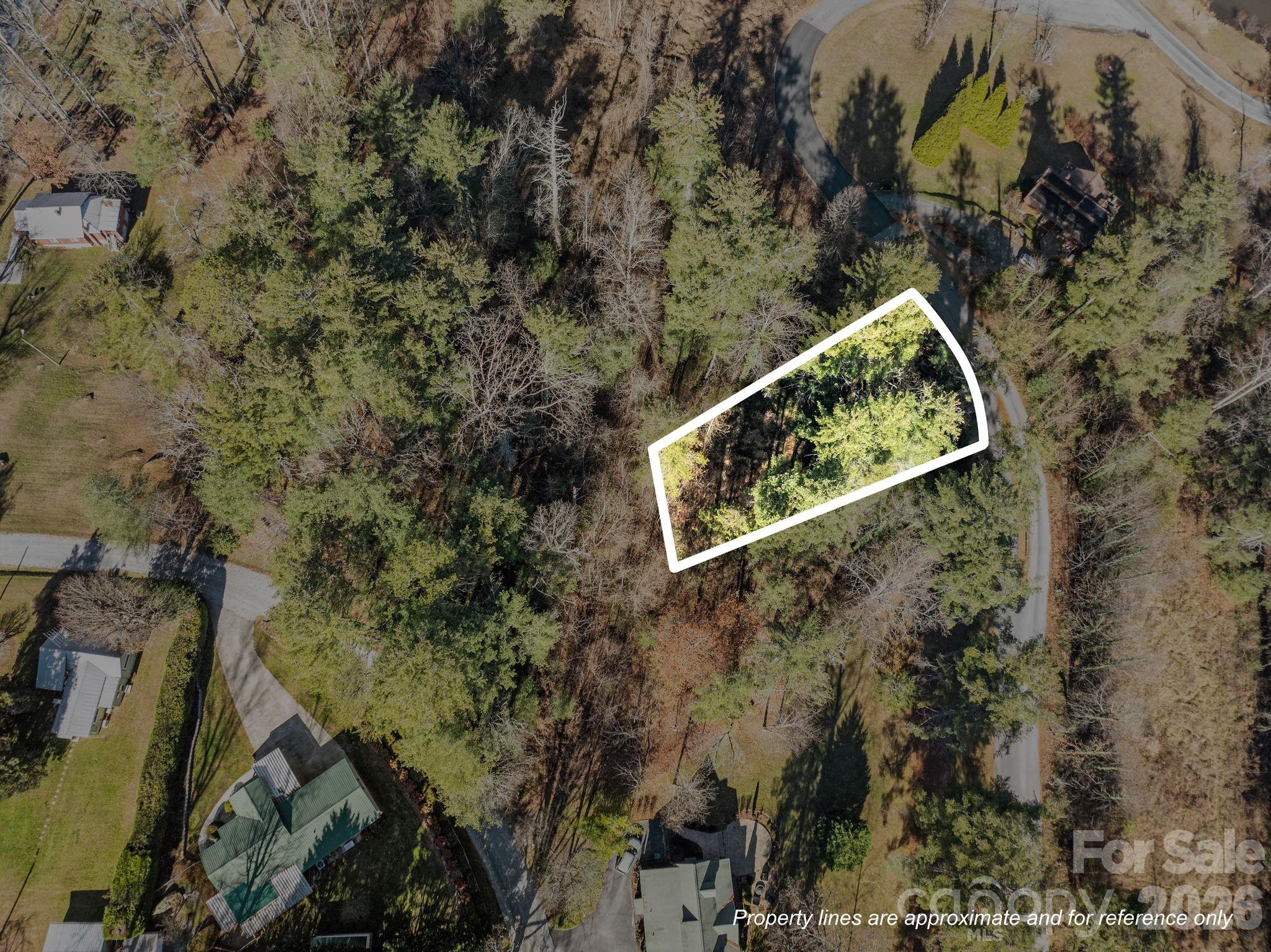 Leonis Mountain Lake Homes - Land