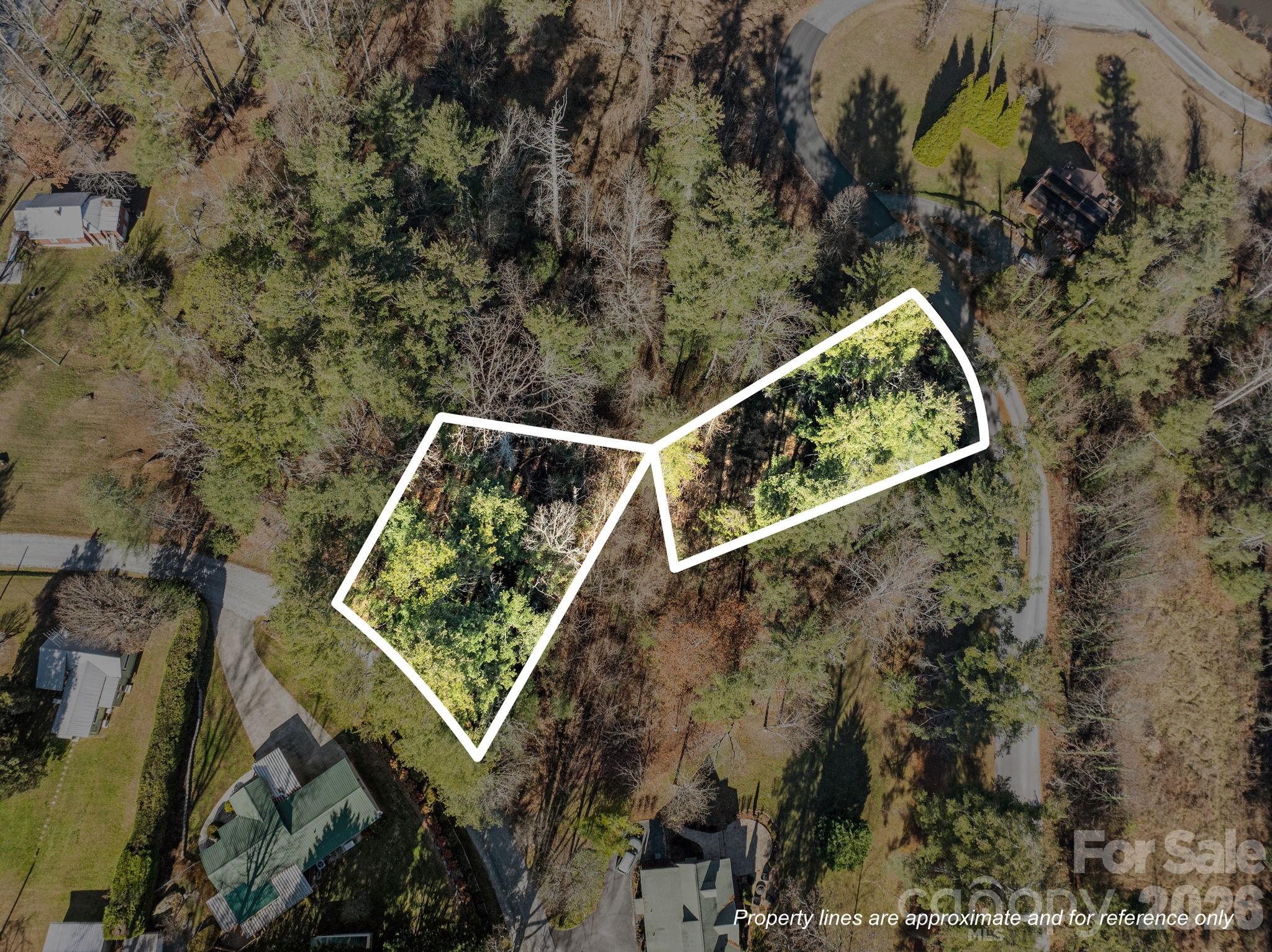 Leonis Mountain Lake Homes - Land