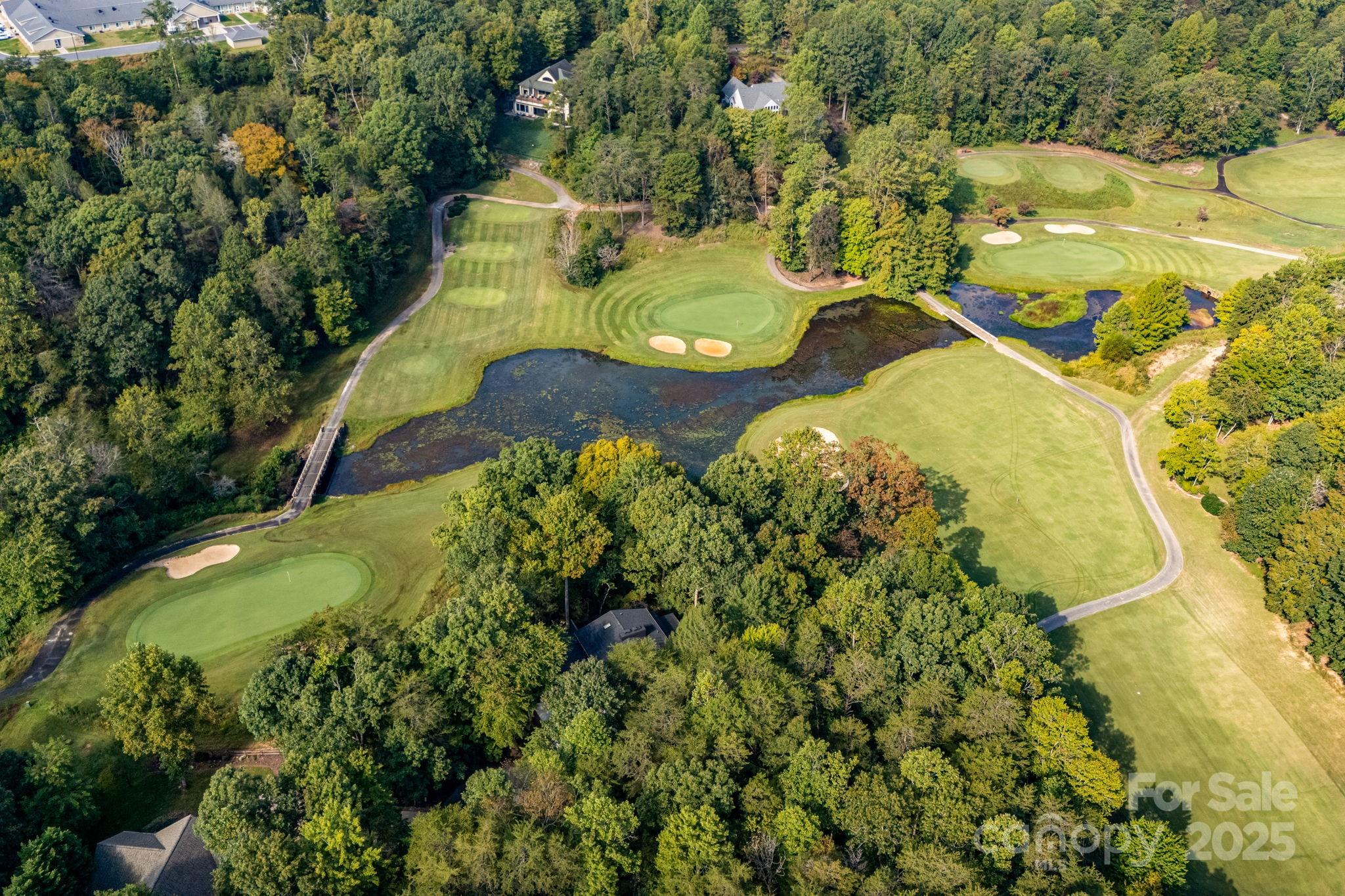 Rumbling Bald on Lake Lure - Residential