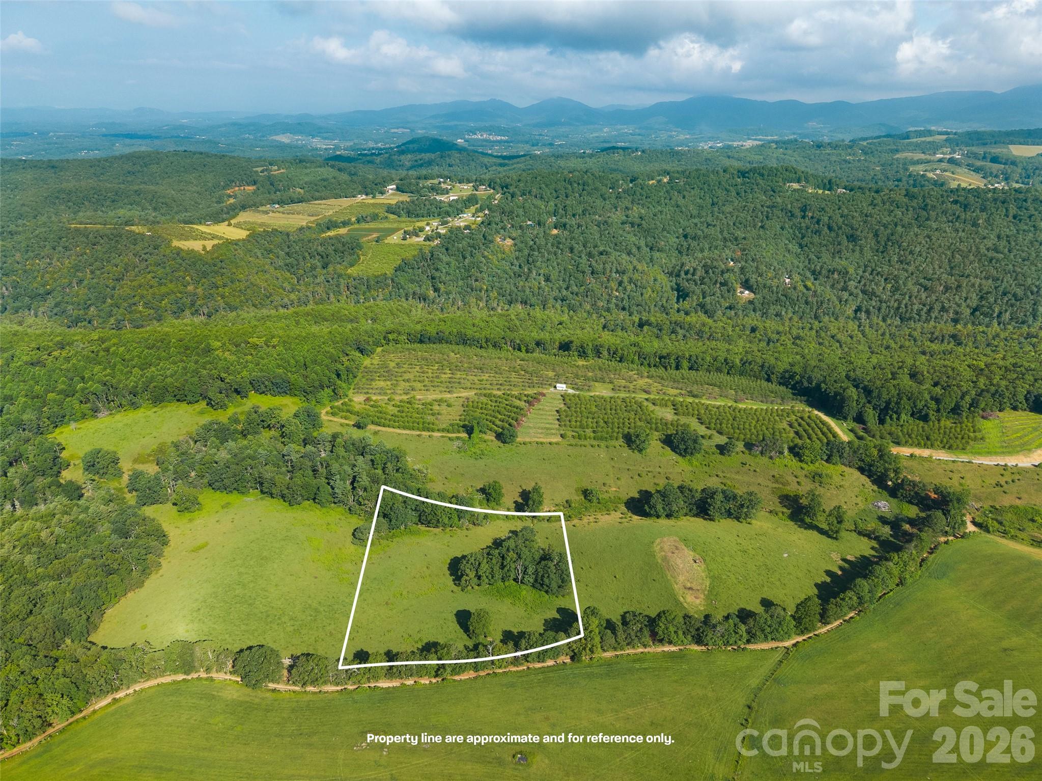 Enjoy the privacy and beauty this 8 acre parcel provides.  This acreage has several build sites, long range views, fenced pasture and creek access.  The only restrictions are no mobile homes or on-frame modulars.  You have the freedom to build what you want, have your animals, plant your gardens, and take in the quiet life. A new gravel road and graded road have been created to access this lot.  Please use the virtual tour link to get an understanding of the lot and see the beauty of the land. Additional acreage is available for purchase adjacent to this lot.  Please see MLS 4398857, 4400605, and 4400605.