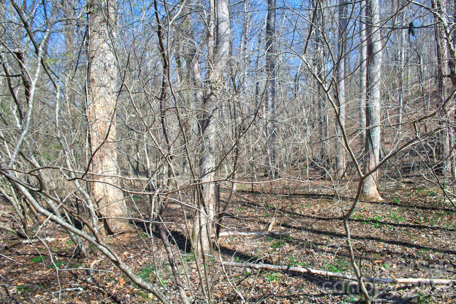 Clearwater Creek - Land