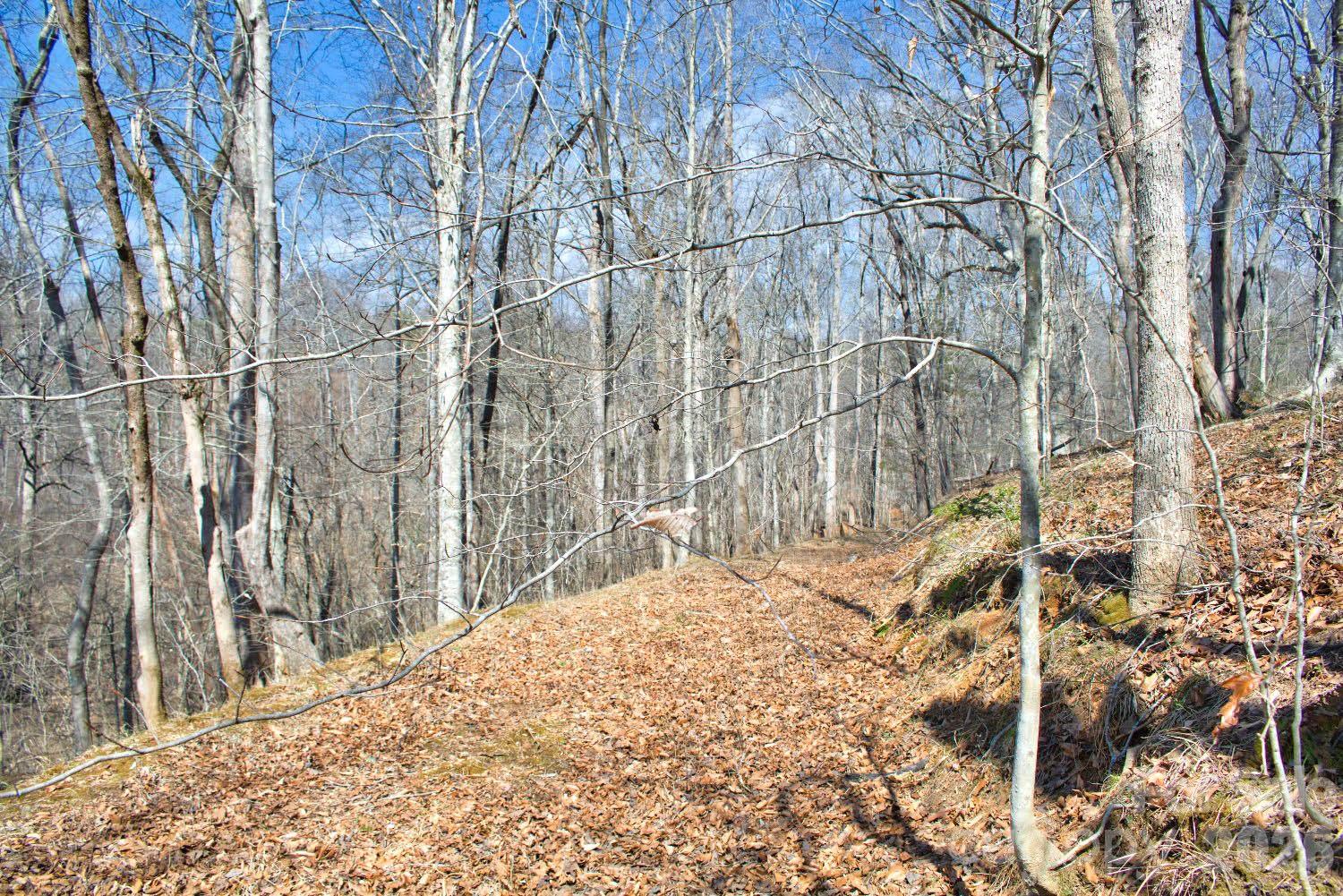 Clearwater Creek - Land