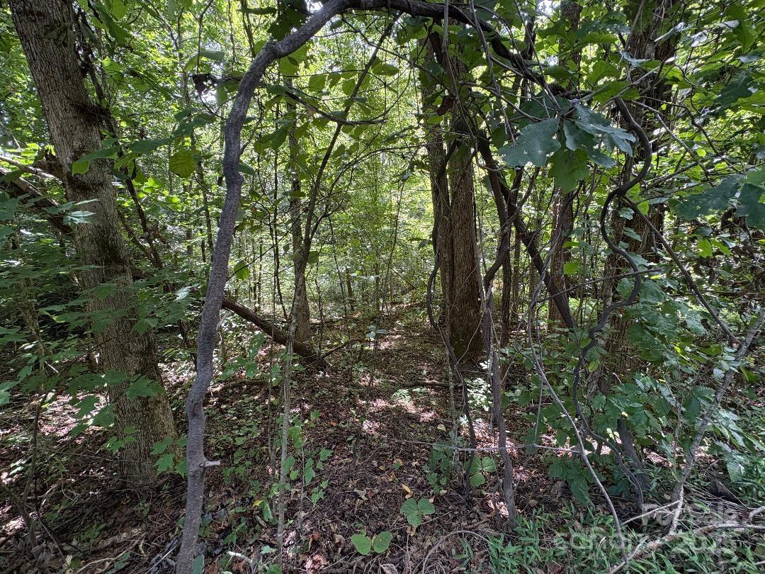 Hidden Acres - Land