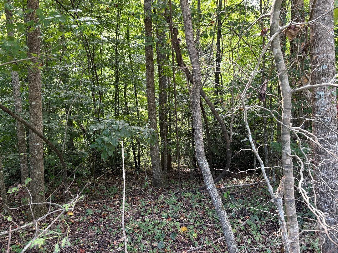 Hidden Acres - Land
