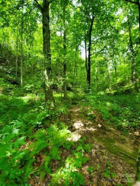 Hidden Acres - Land