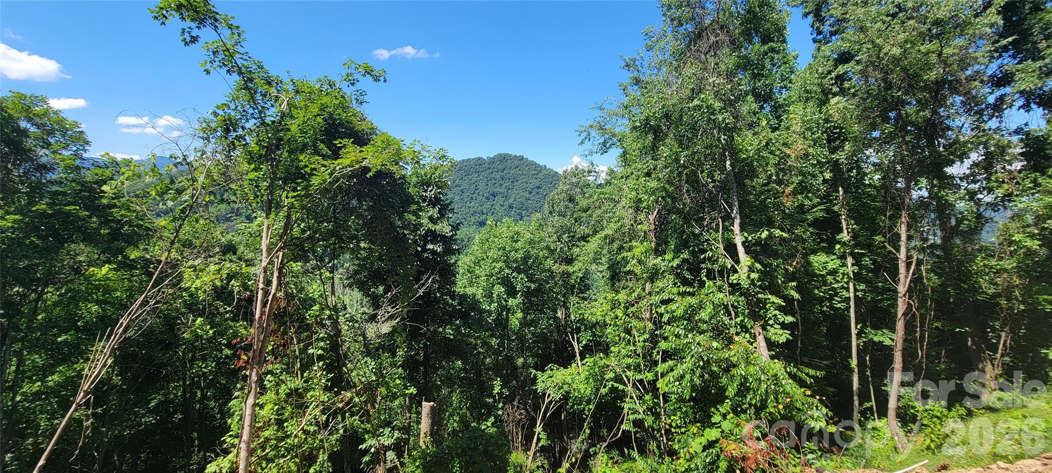 Linson Ridge - Land