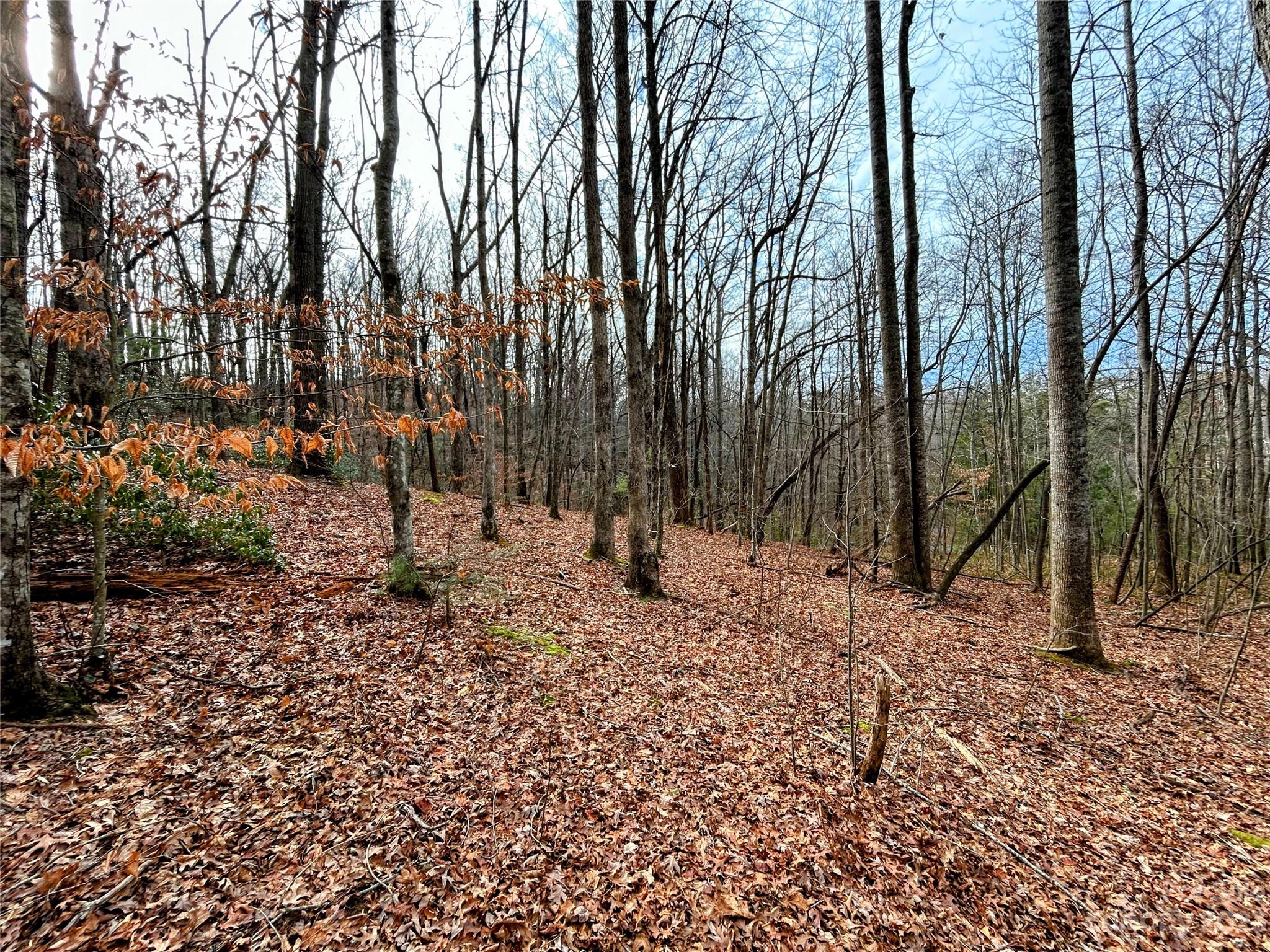 Little Warrior Mtn Estates - Land