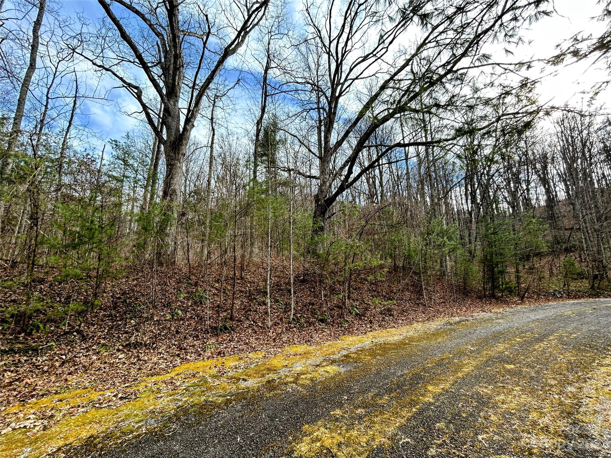 Little Warrior Mtn Estates - Land