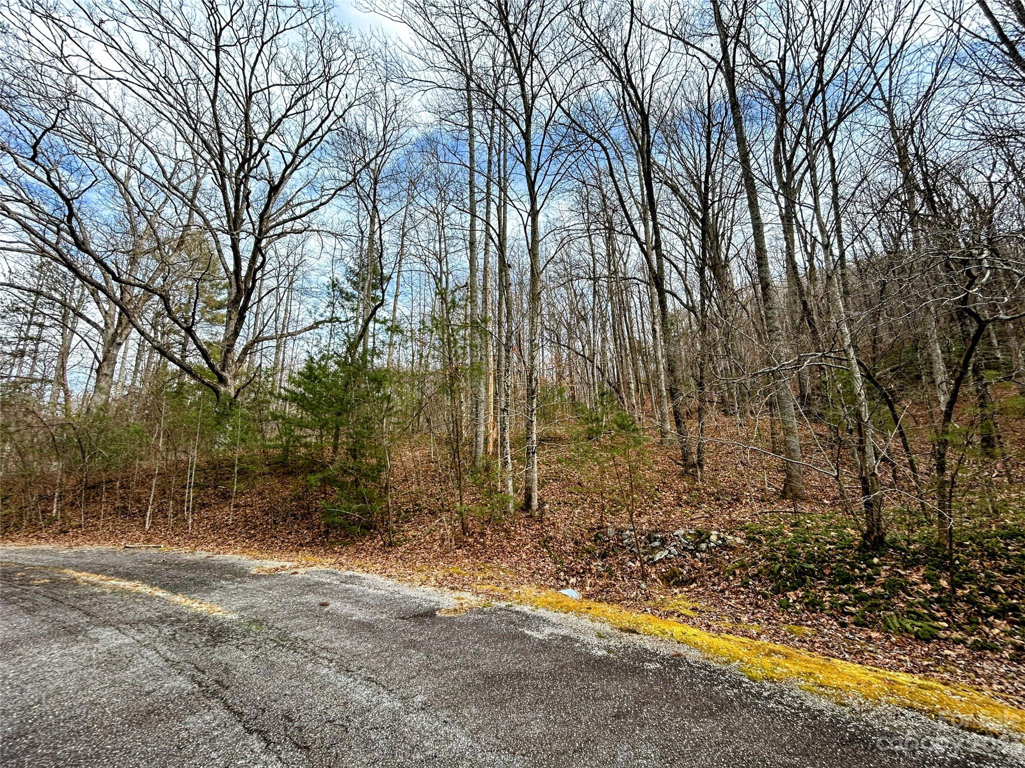 Little Warrior Mtn Estates - Land