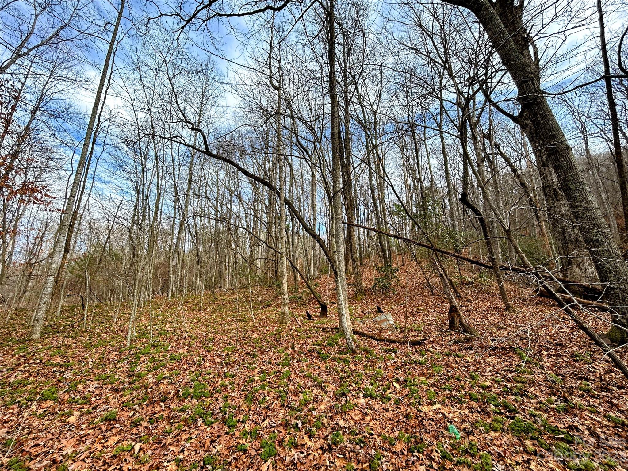 Little Warrior Mtn Estates - Land