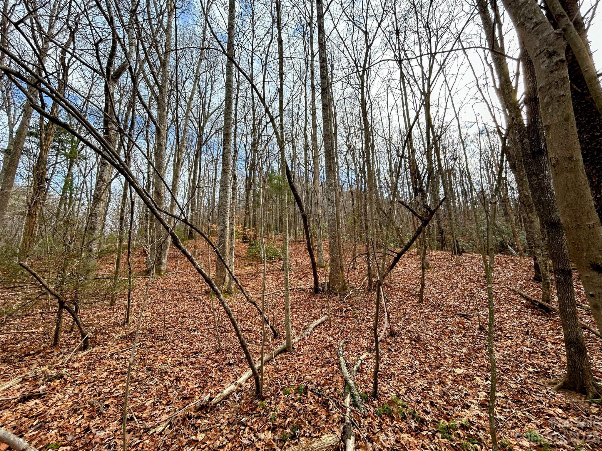 Little Warrior Mtn Estates - Land