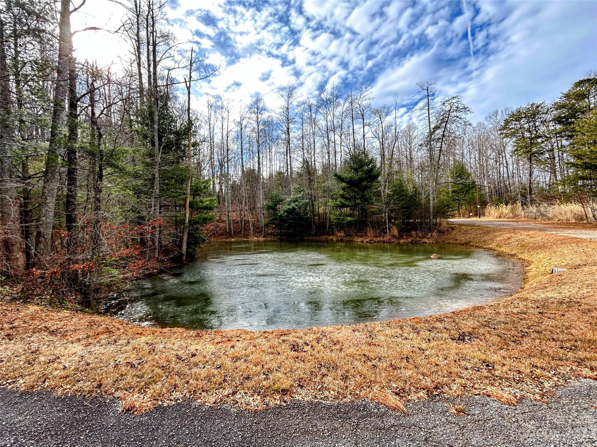 Little Warrior Mtn Estates - Land