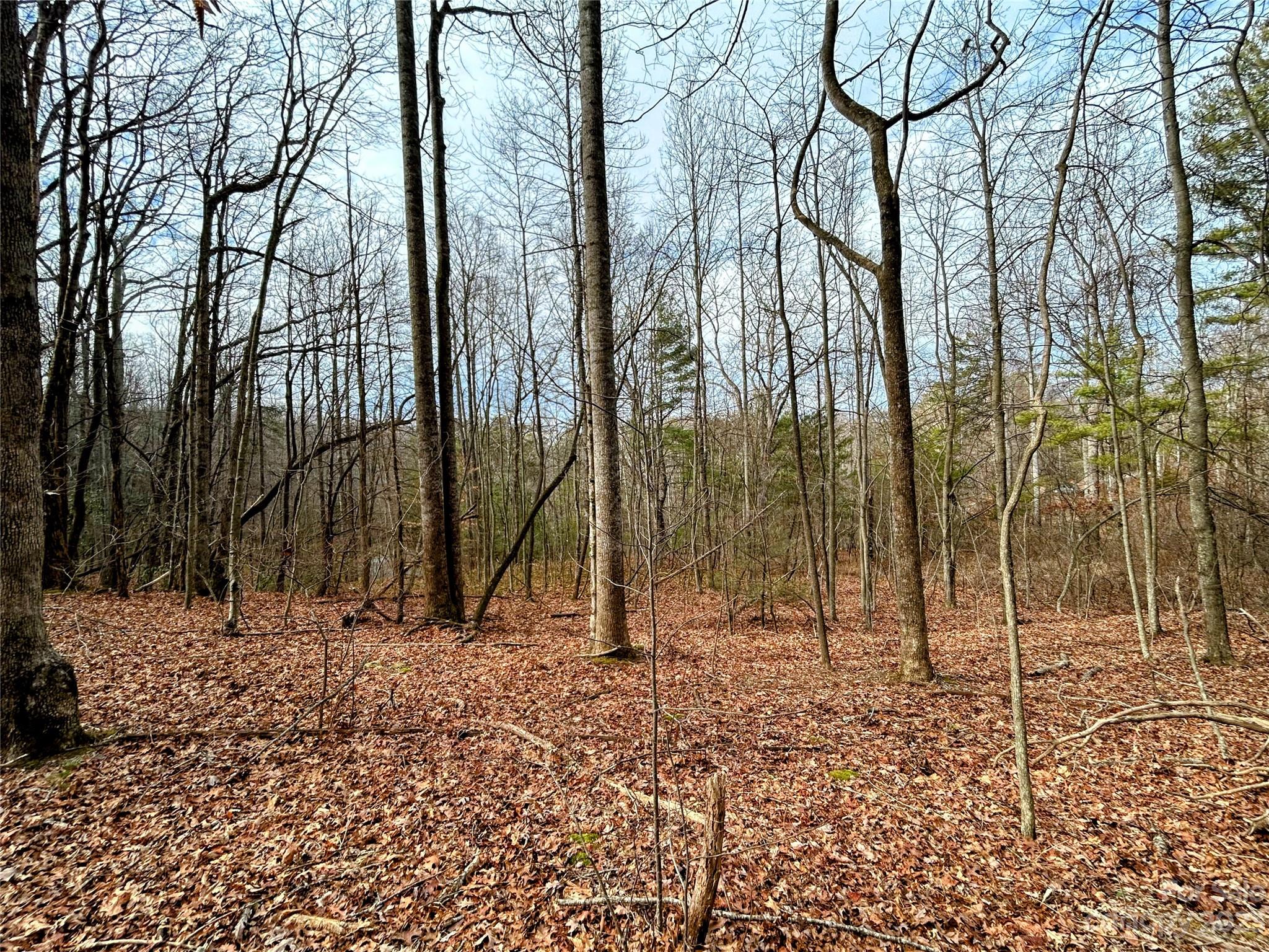 Little Warrior Mtn Estates - Land