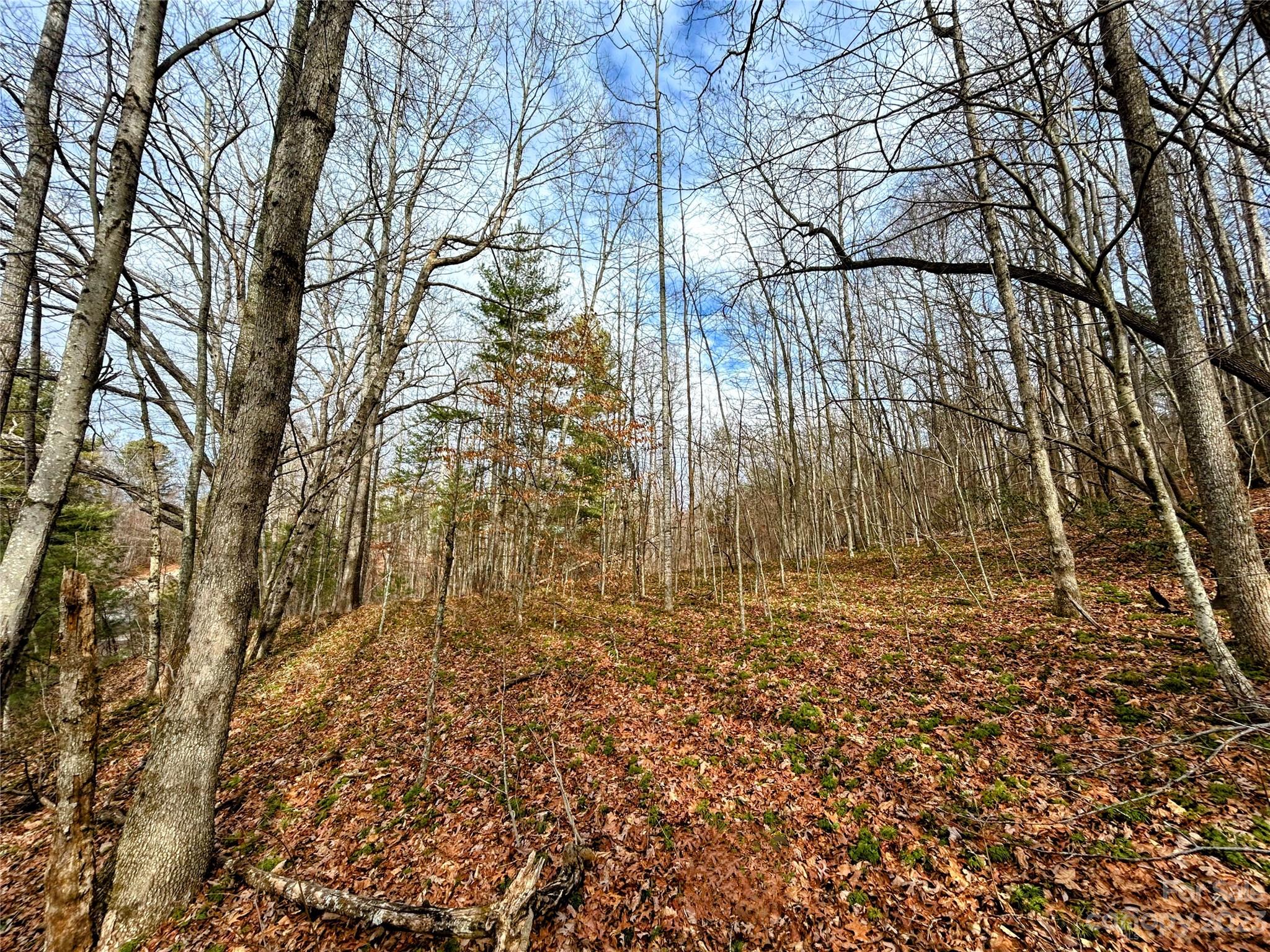 Welcome to Little Warrior Mountain Estates, where you will find generously sized lots, in a the tranquil setting you're looking for, with prices sure to please.  Lots start in the $30's and each lot is priced with great value for the discerning buyer.   Lot 8 has a very gentle terrain that should be easily built upon.  Less than 5 miles to downtown Saluda and roughly 15 miles back to downtown Hendersonville, this development provides all the peace and quiet for building that mountain retreat, yet possesses easy access to all the charms of Main St in the mountains.