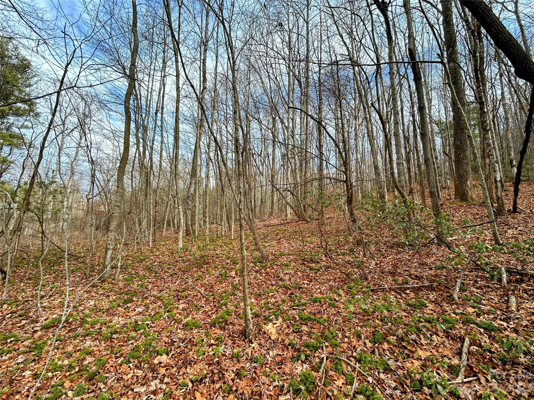 Little Warrior Mtn Estates - Land