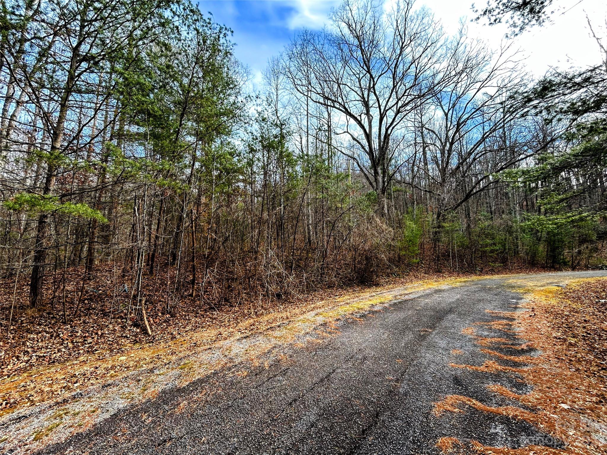 Little Warrior Mtn Estates - Land