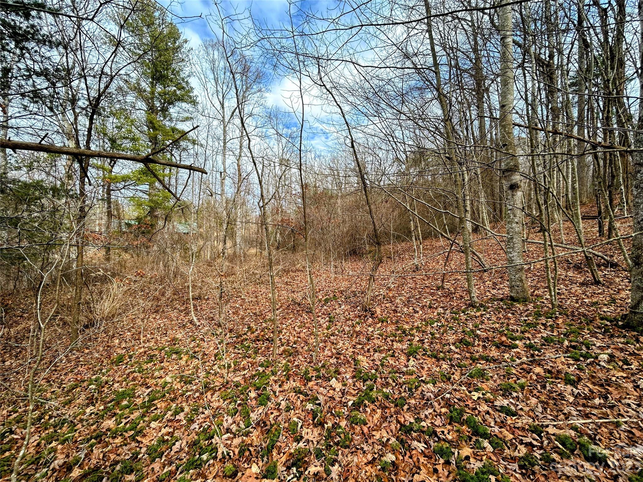 Little Warrior Mtn Estates - Land