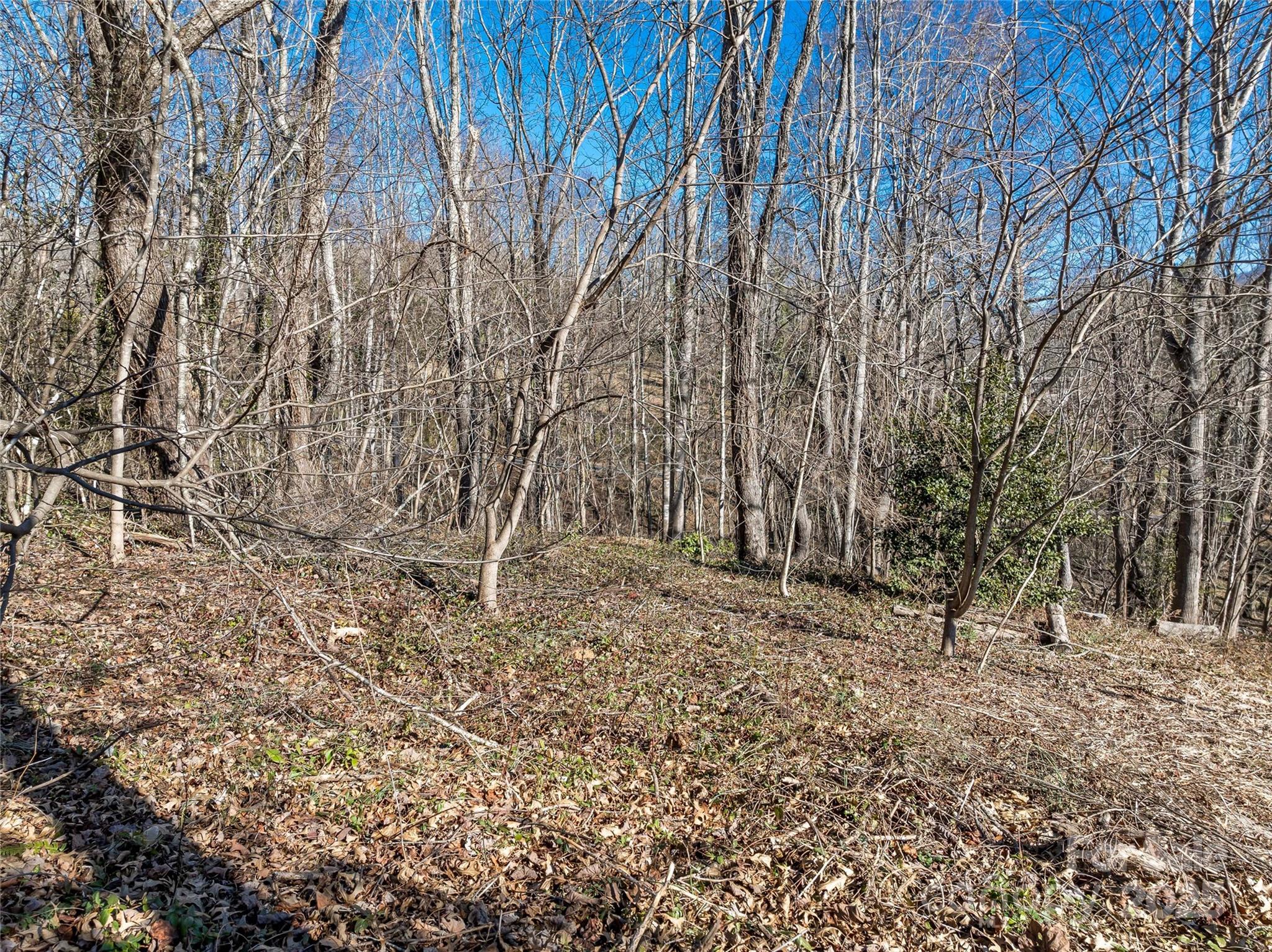 Thoms Estate - Land