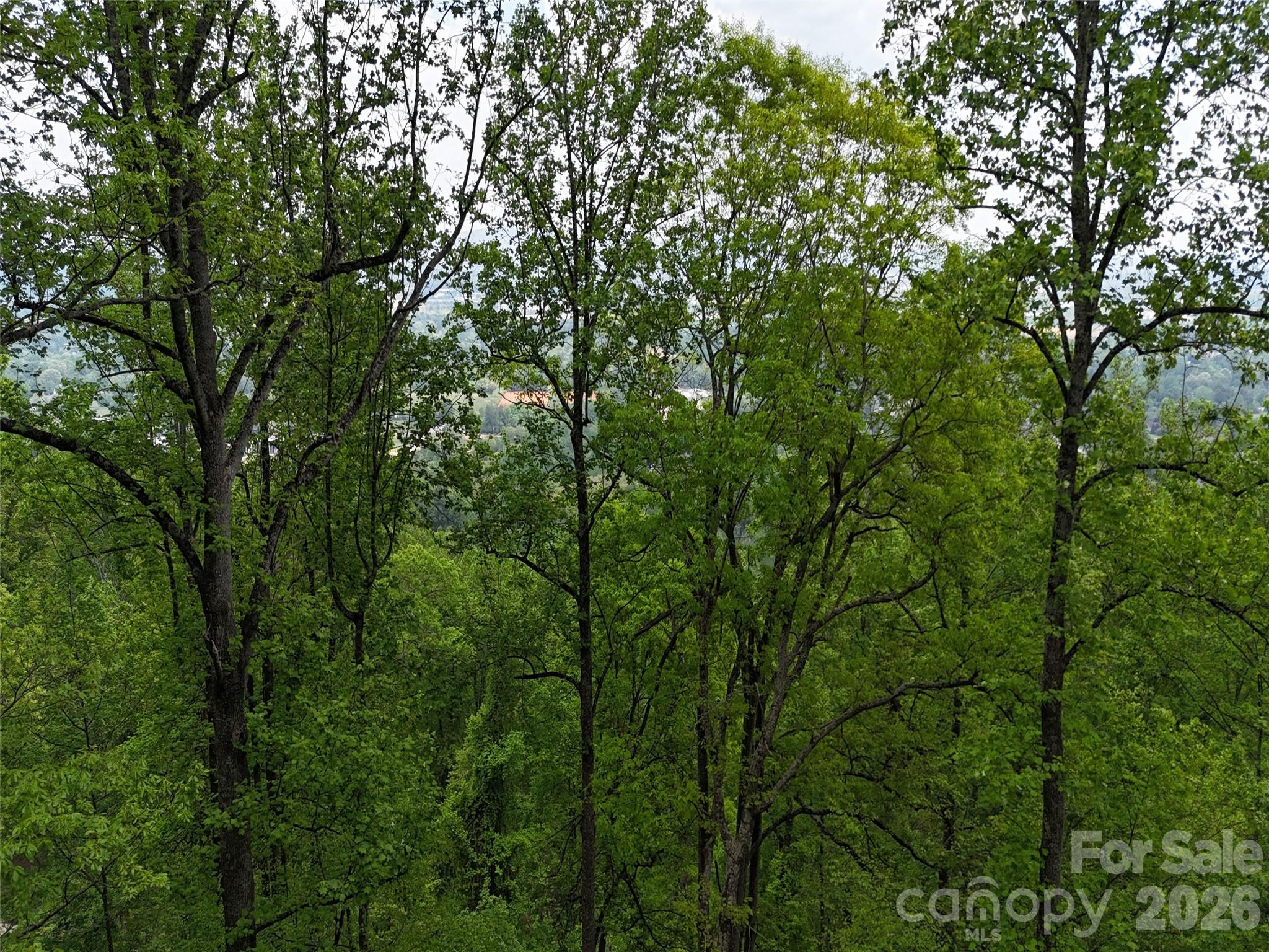 High Vista - Land