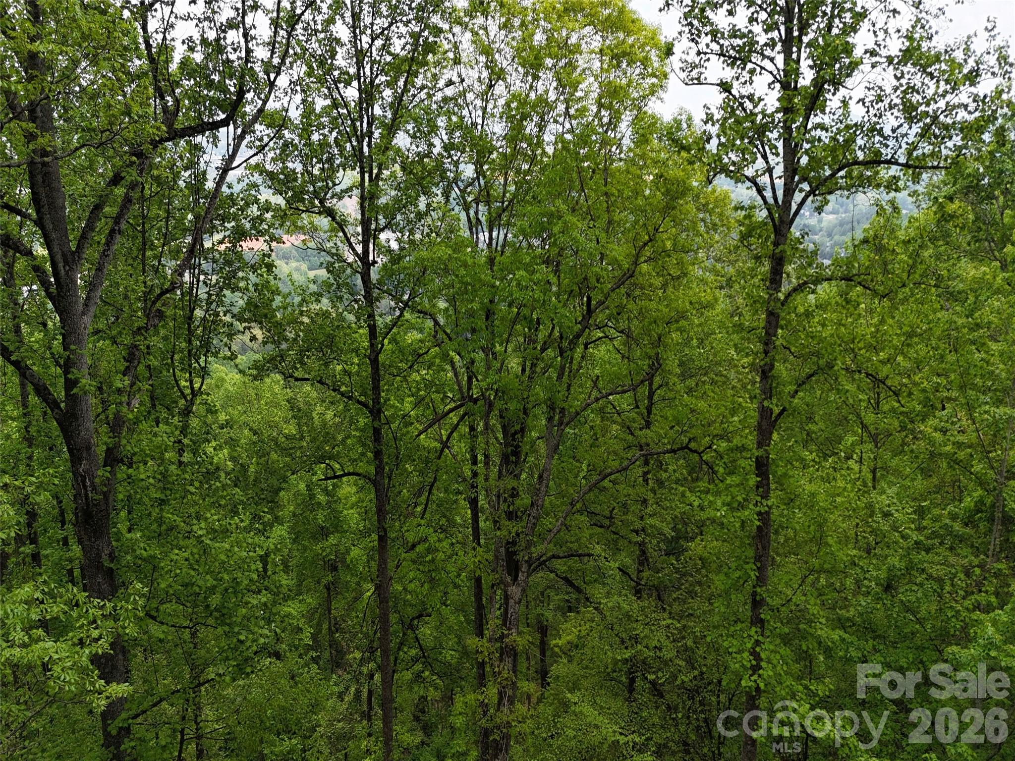 High Vista - Land