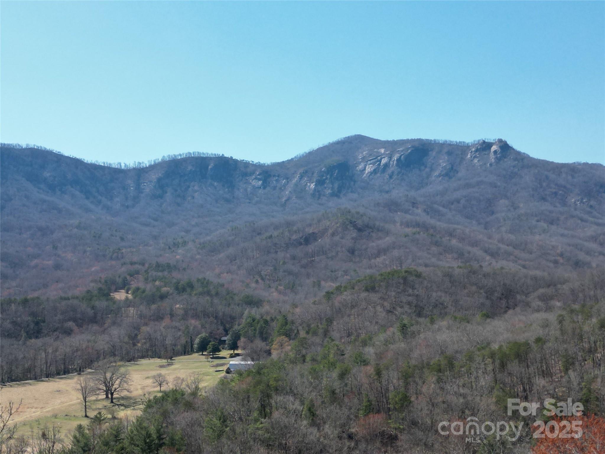 Rumbling Bald on Lake Lure - Land