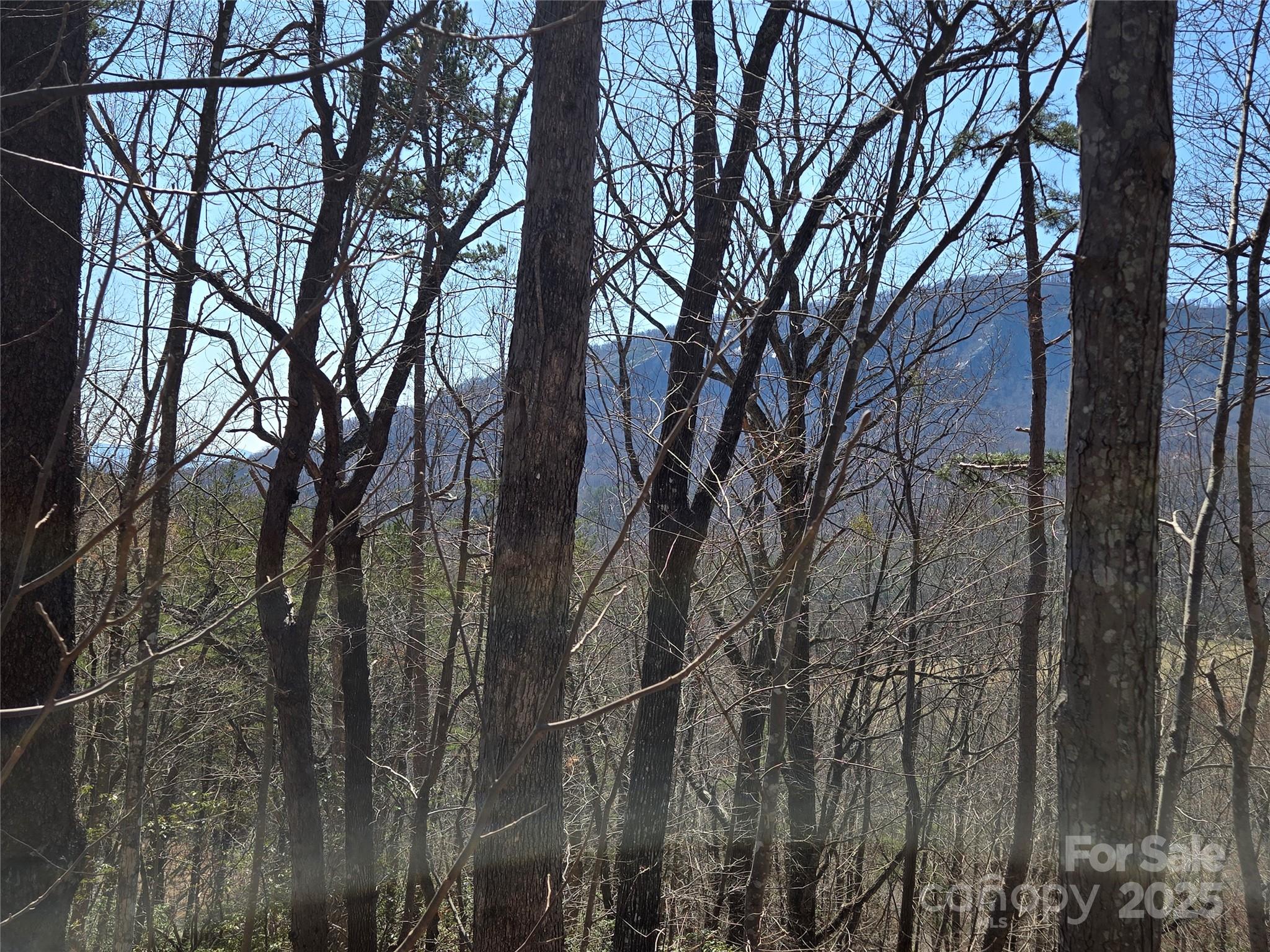 Rumbling Bald on Lake Lure - Land