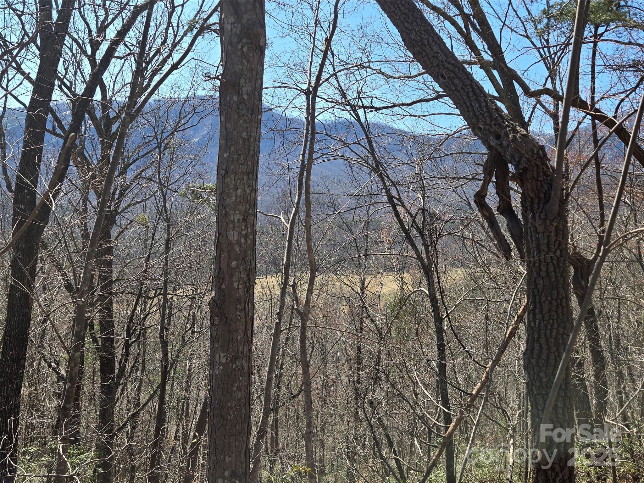 Rumbling Bald on Lake Lure - Land