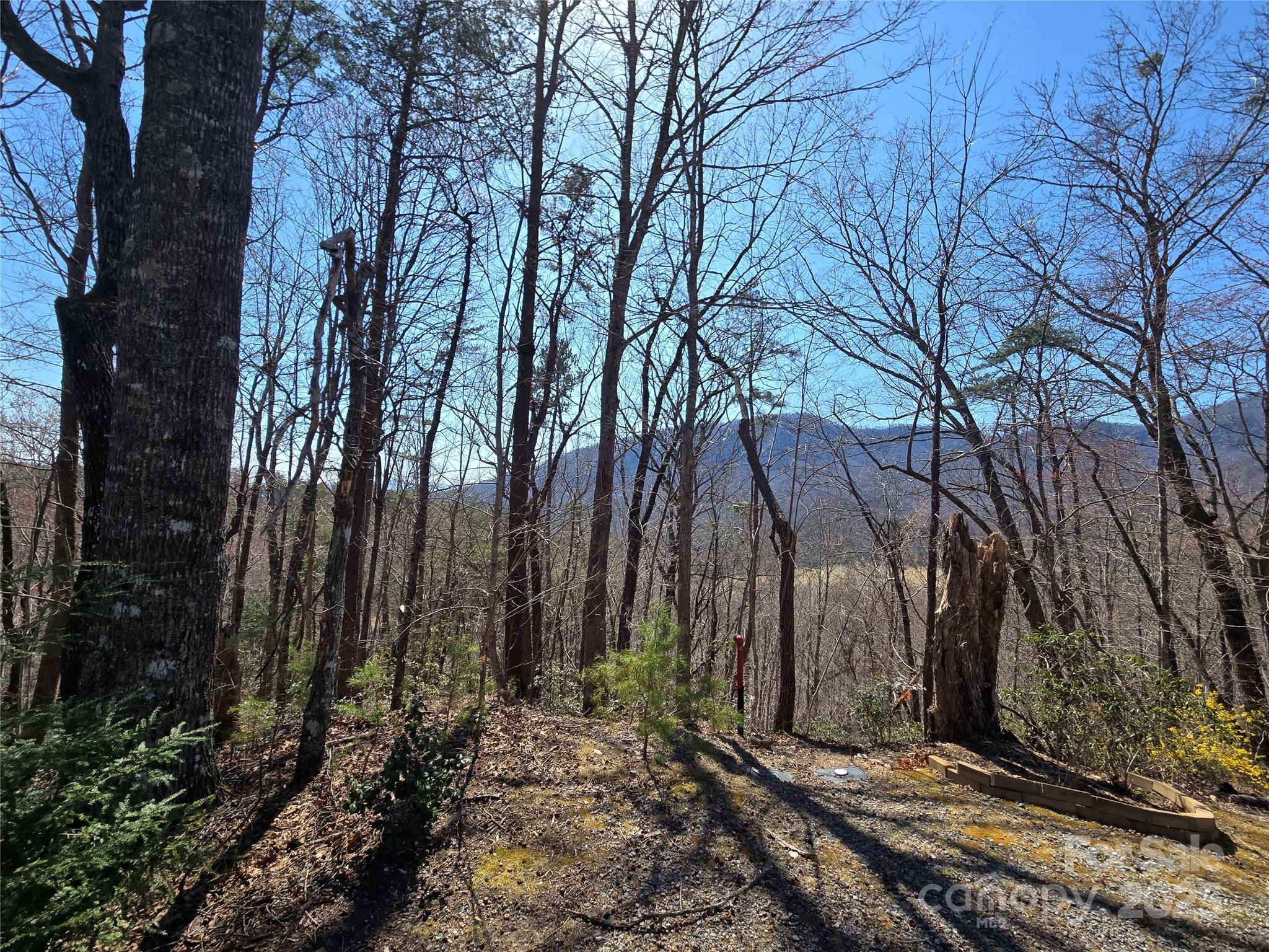 Rumbling Bald on Lake Lure - Land