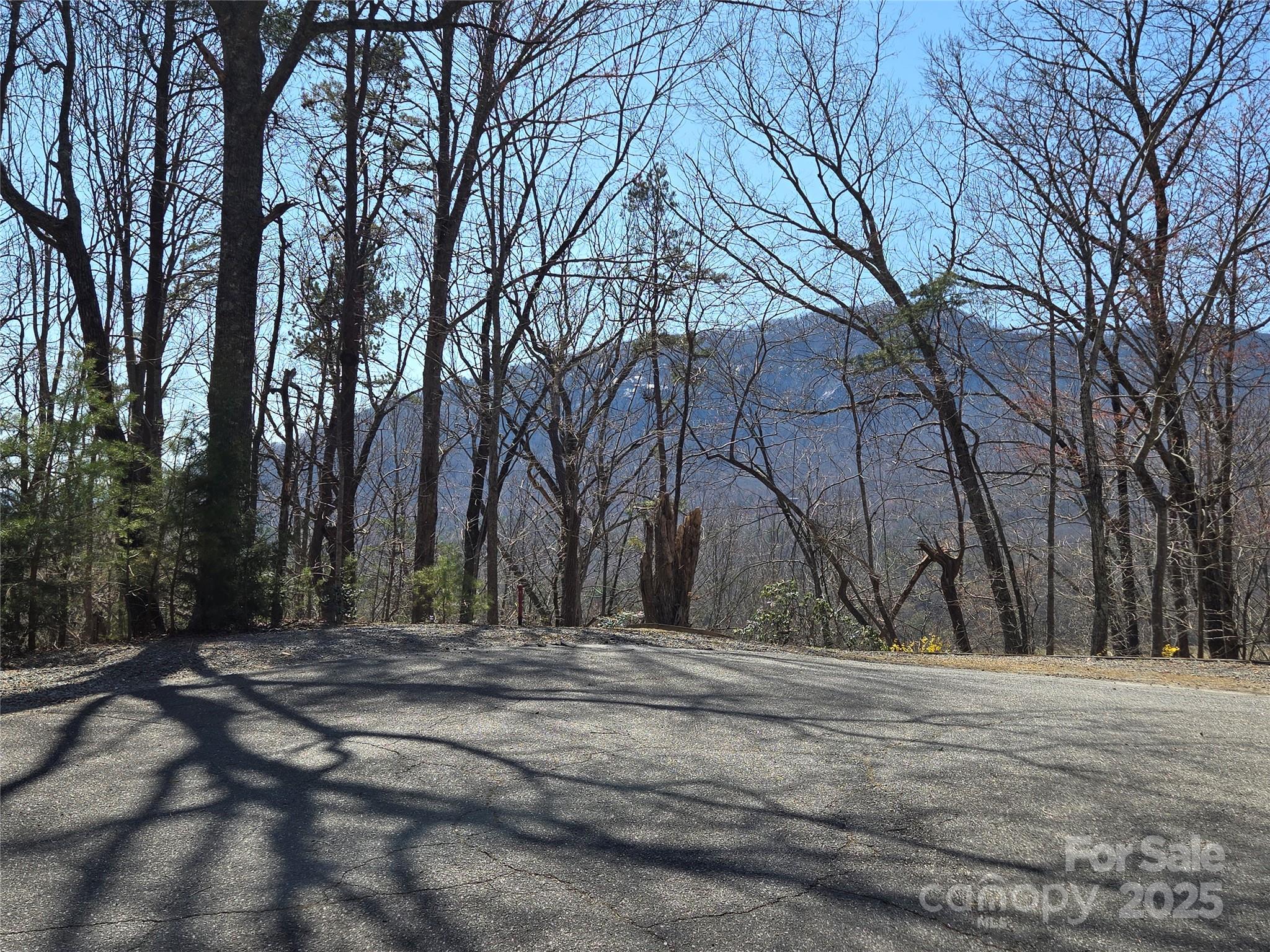 Rumbling Bald on Lake Lure - Land