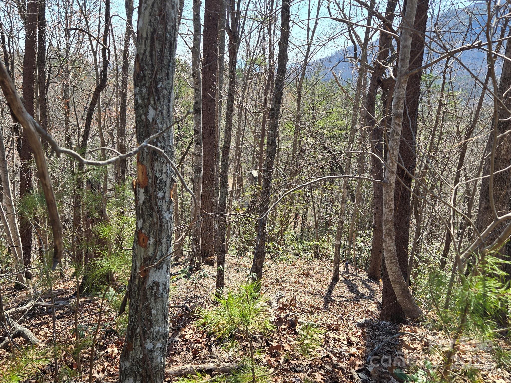 Rumbling Bald on Lake Lure - Land