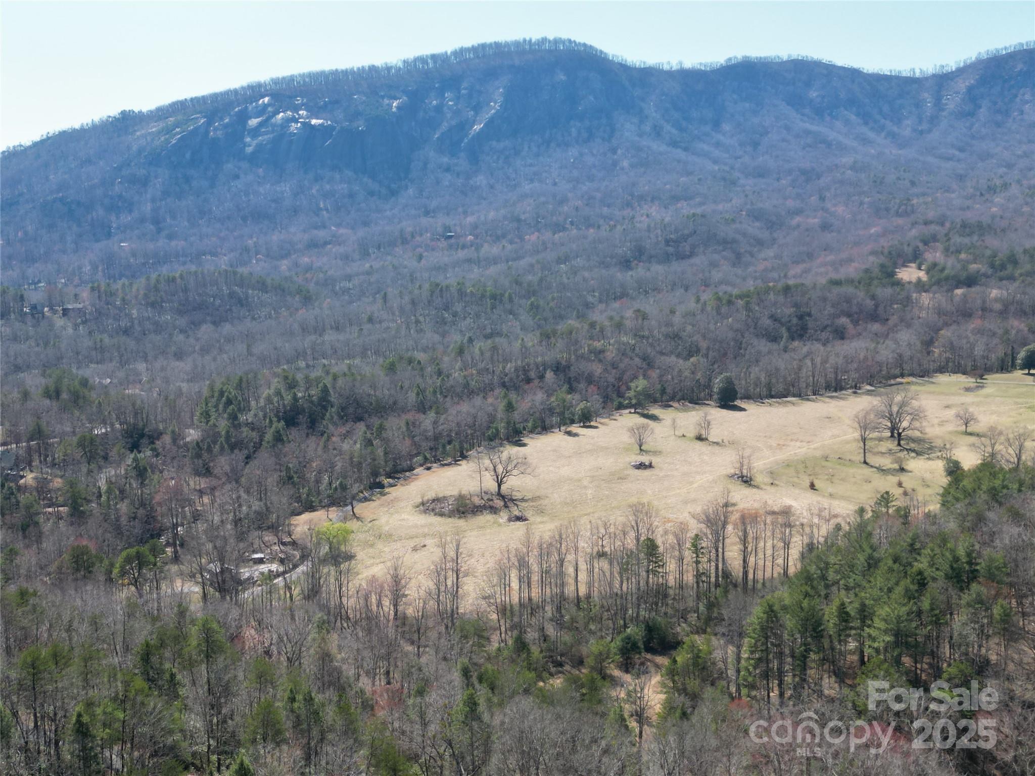 Rumbling Bald on Lake Lure - Land