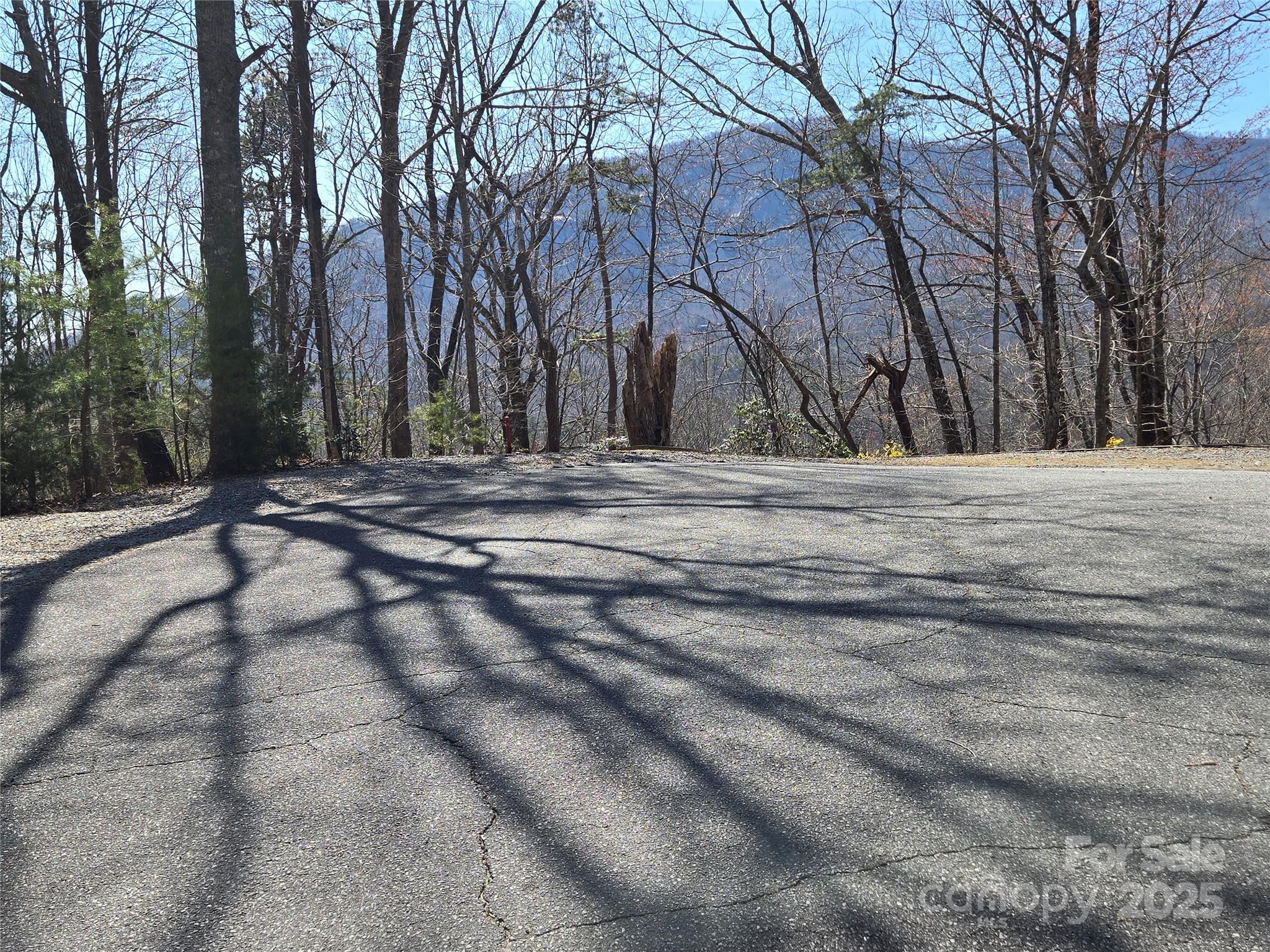 Rumbling Bald on Lake Lure - Land