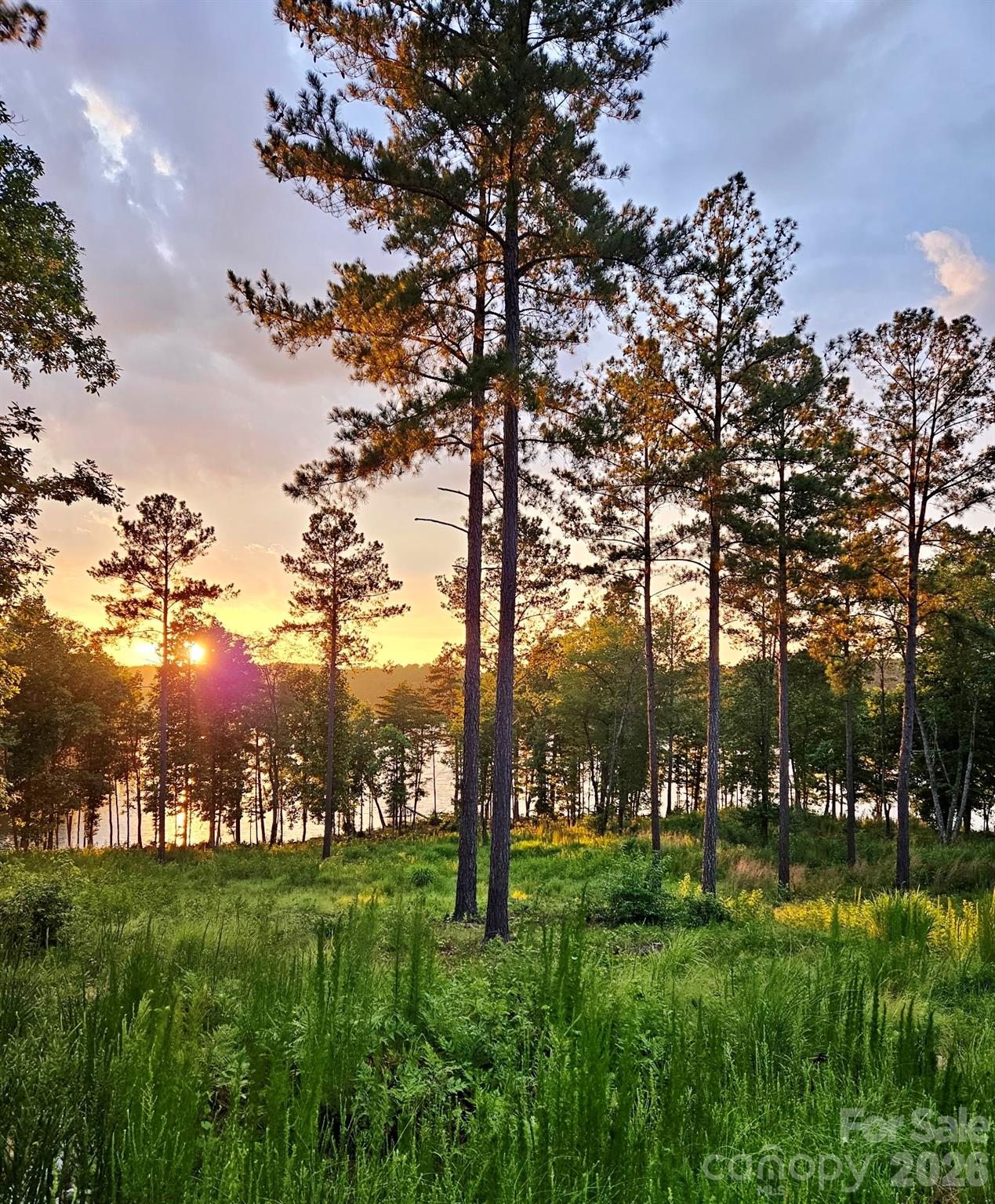 Lakeside Reserve - Land