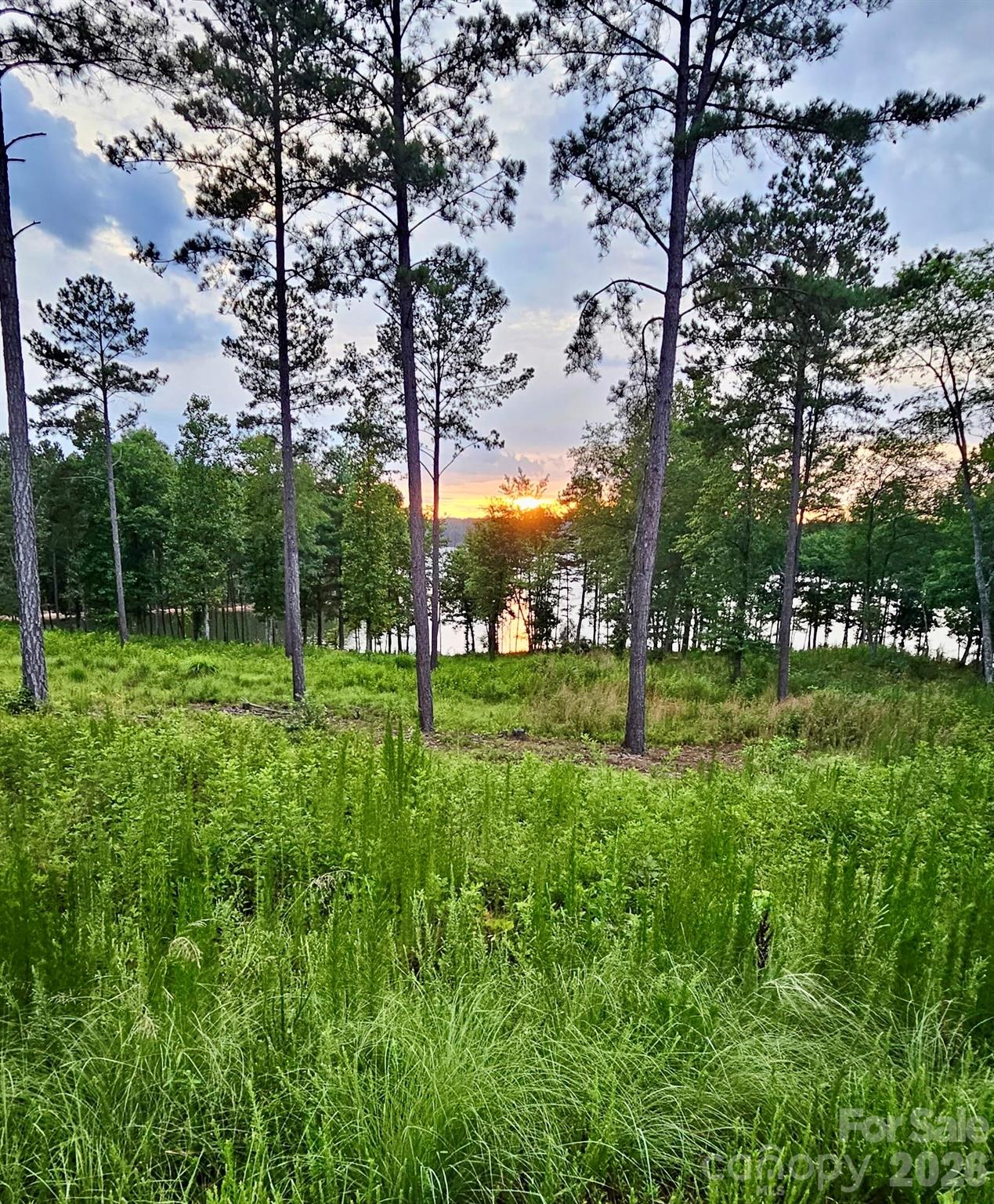 Lakeside Reserve - Land