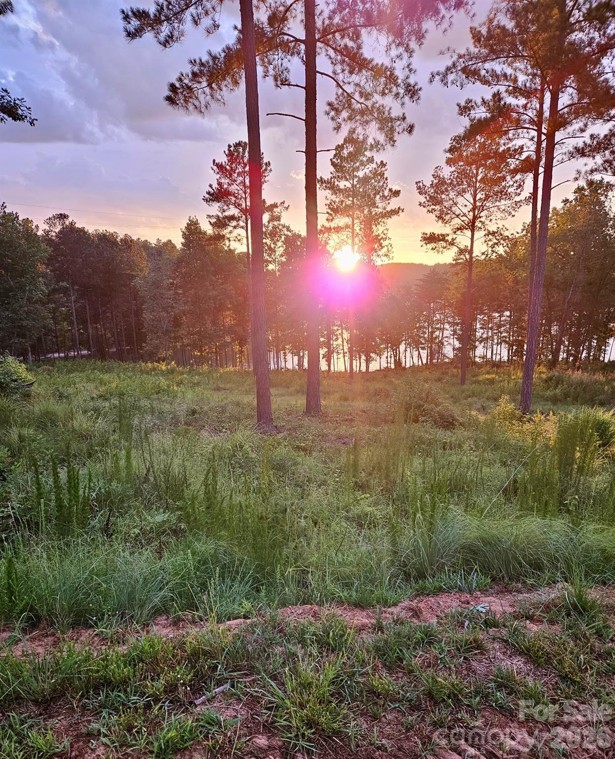 Lakeside Reserve - Land