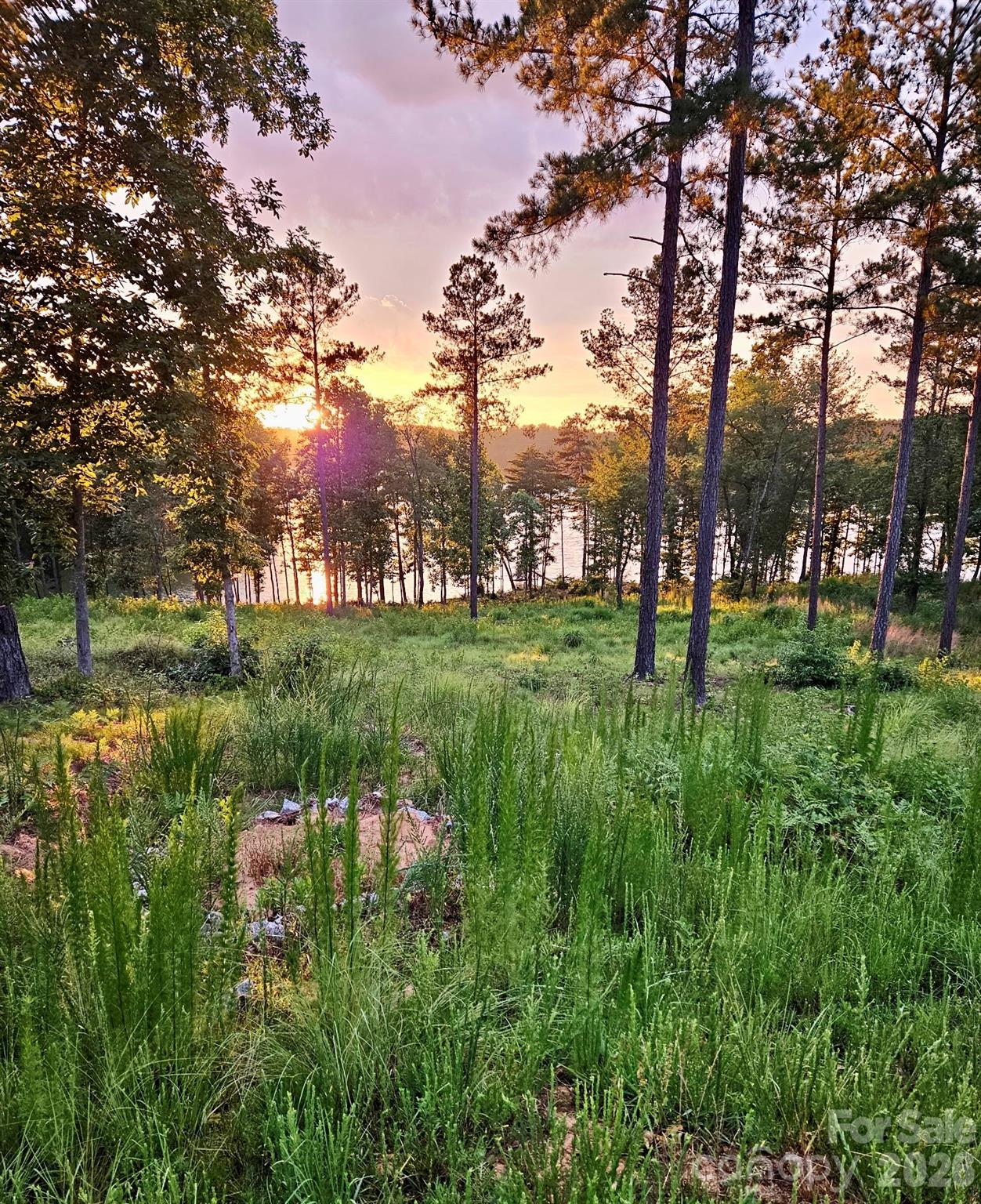 Lakeside Reserve - Land