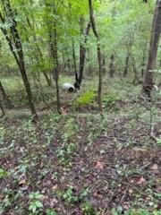 Hemphill Heights - Land