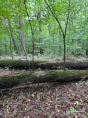Hemphill Heights - Land