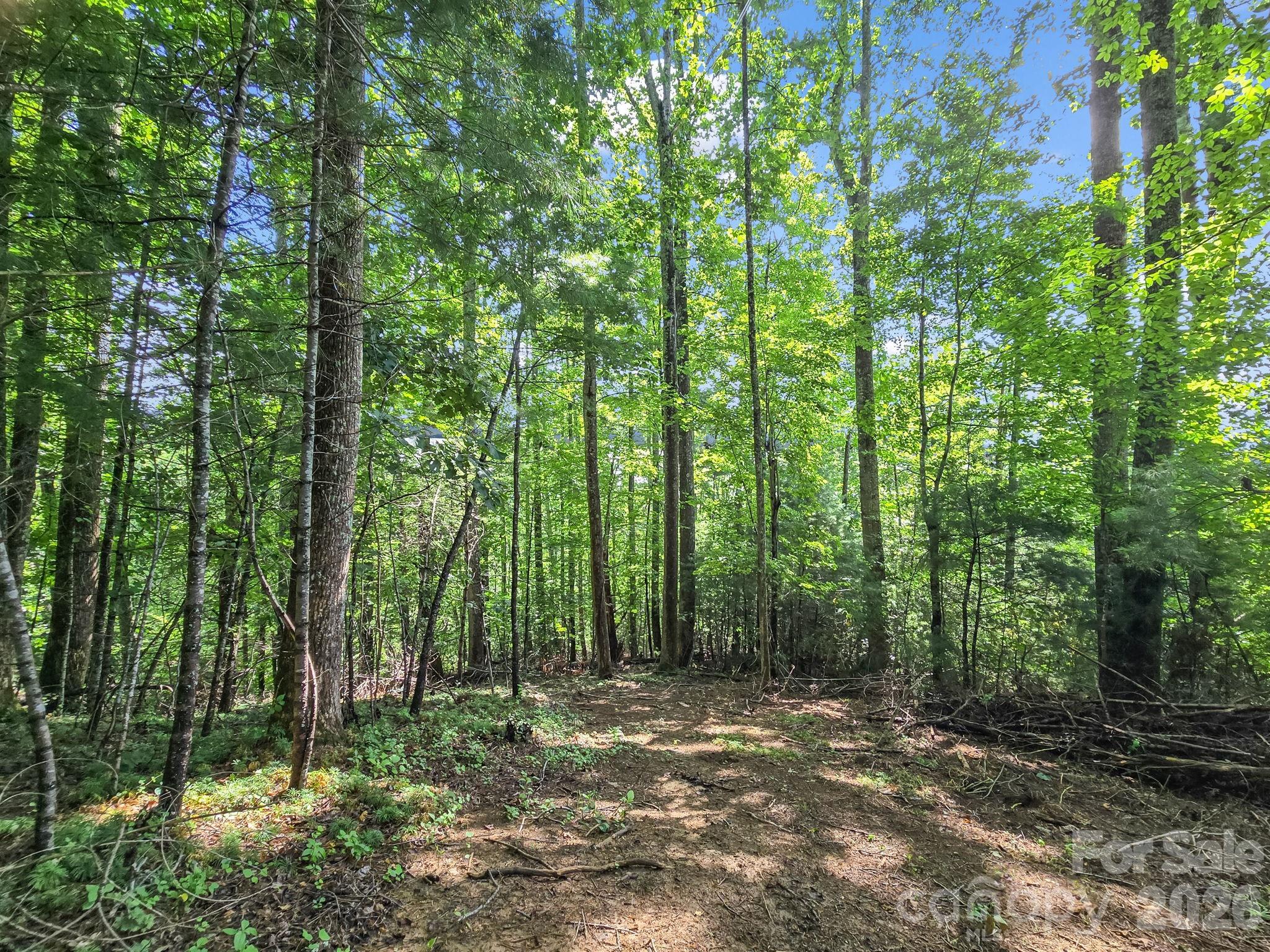Hunters Glen - Land
