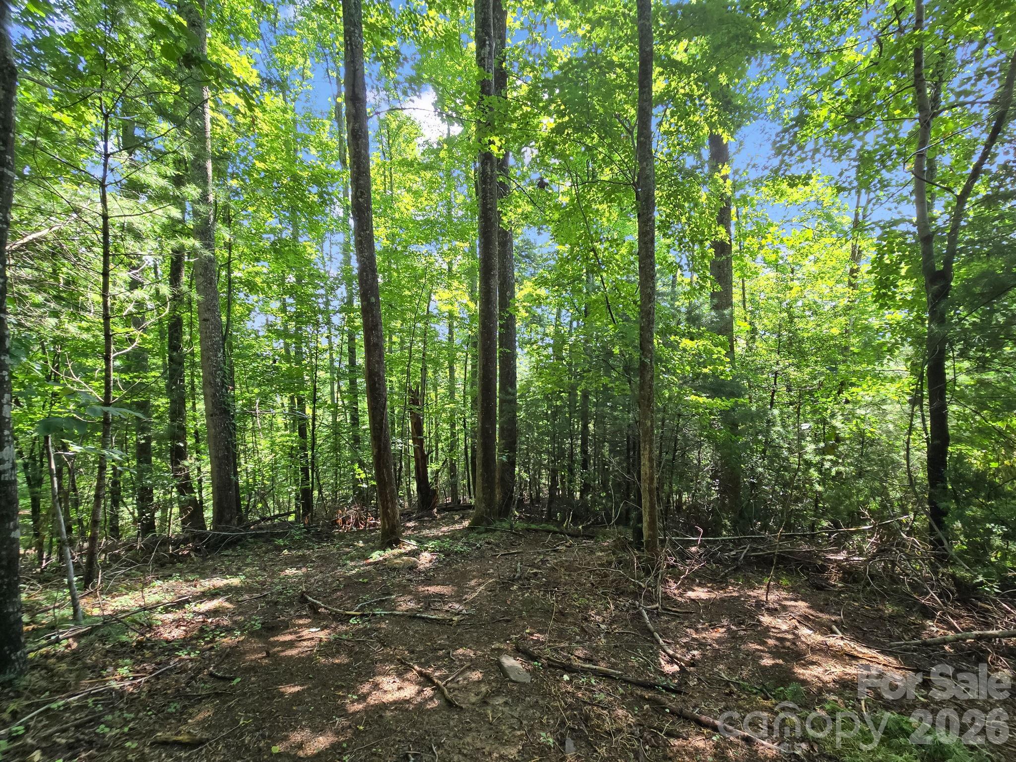 Hunters Glen - Land