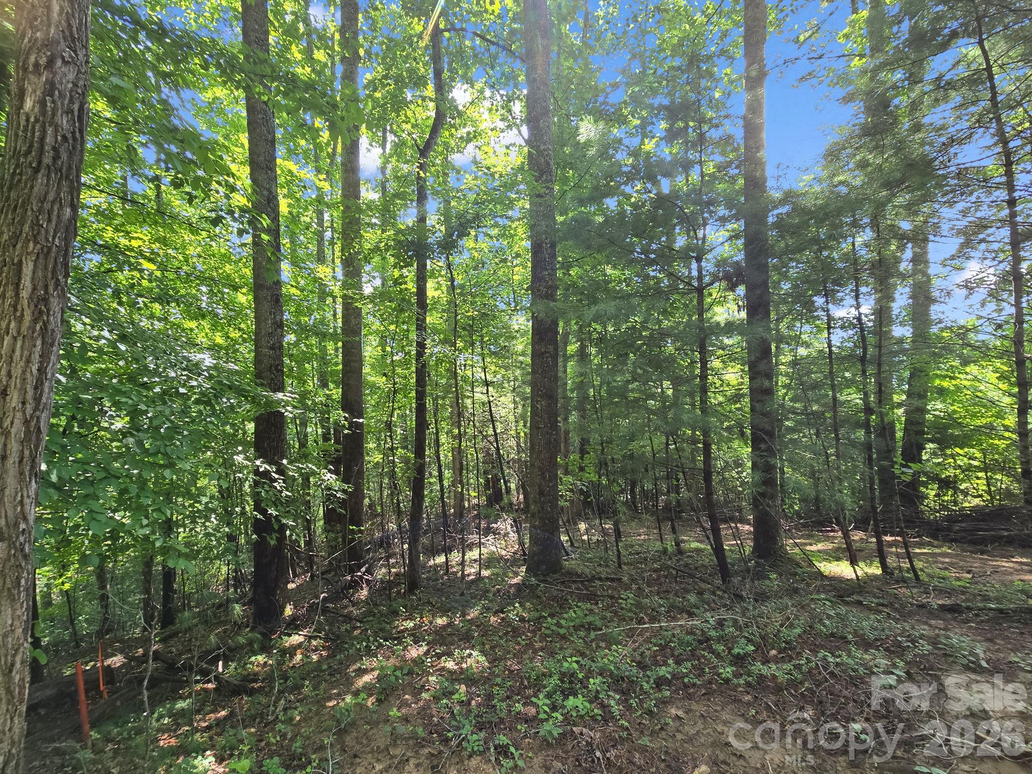 Hunters Glen - Land
