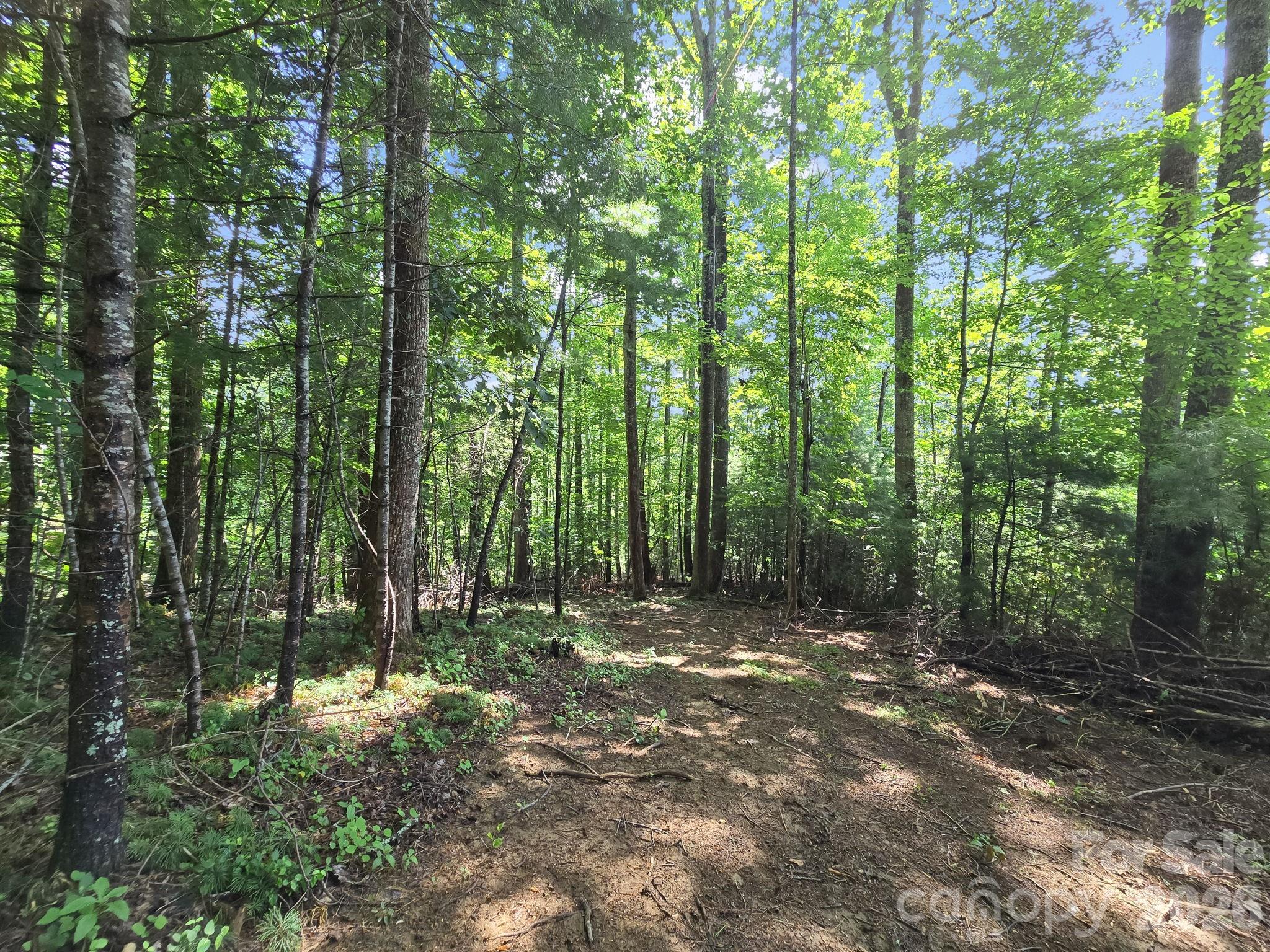 Hunters Glen - Land