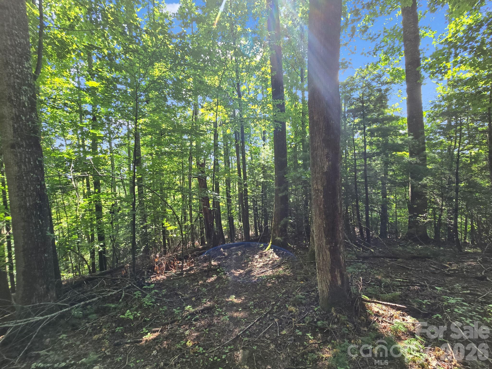 Hunters Glen - Land