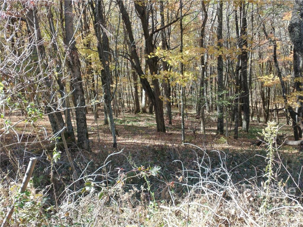 .62 acre lot within walking distance of the ski slopes. Gentle laying lot . Possible close range mountain view with some clearing. Adjacent lots also for sale. Nestled in the mountains of Western NC is a very unique place called Wolf Laurel Resort. A private, gated community like no other. The Beautiful landscape has been protected to maintain a natural environment full of wildlife, lush greenery and privacy. Its gravel roads will give you that "out in the woods" feeling. Here you'll enjoy horseback riding, swimming, tennis, fishing, skiing, hiking, golf and more. Leave your troubles behind. Head to the mountains, take in the fresh, cool air and you'll know you're somewhere special.